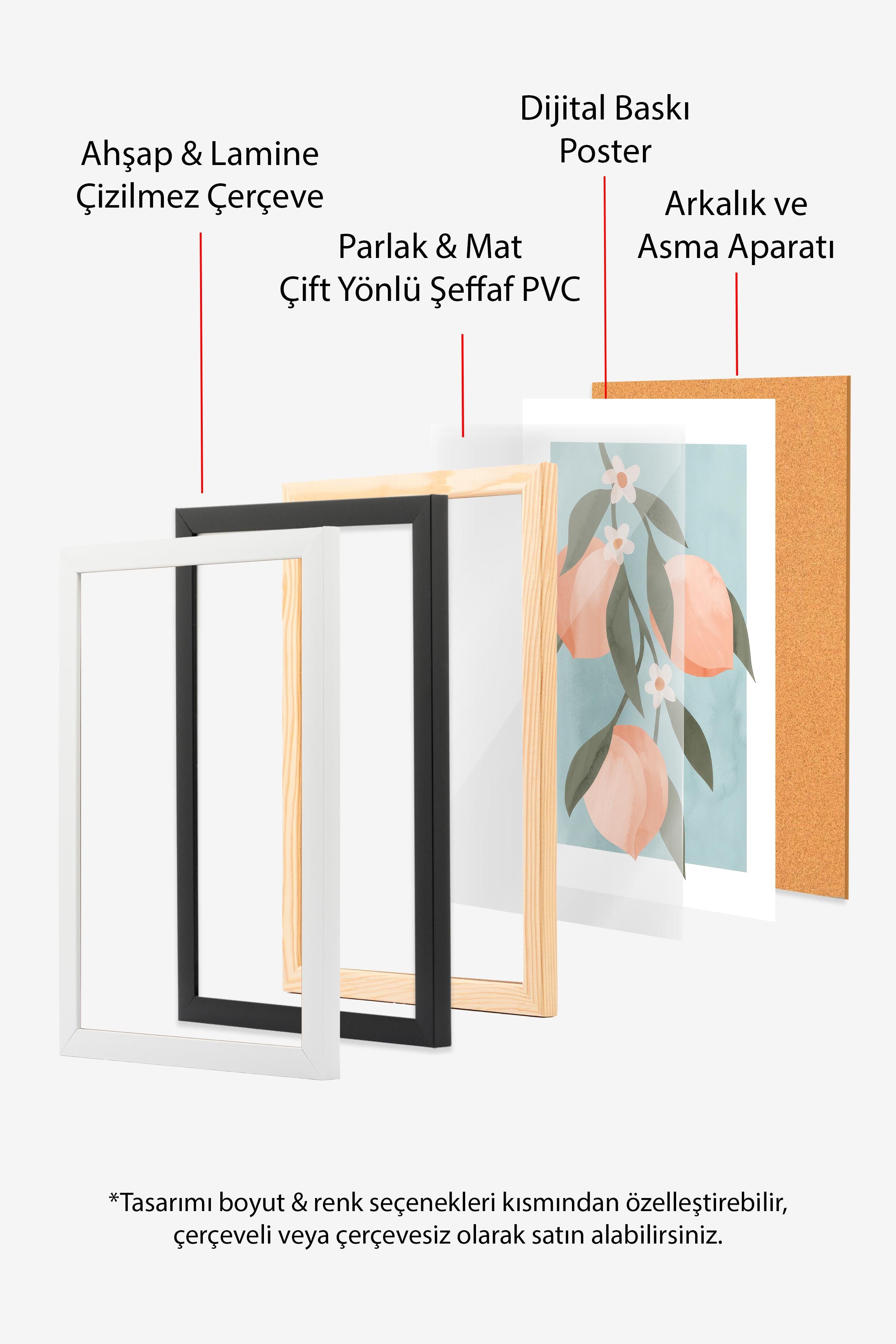 Abstract Peach Branch Ahşap Çerçeveli Tablo, Duvar Tablosu Comfort Serisi NO:108523