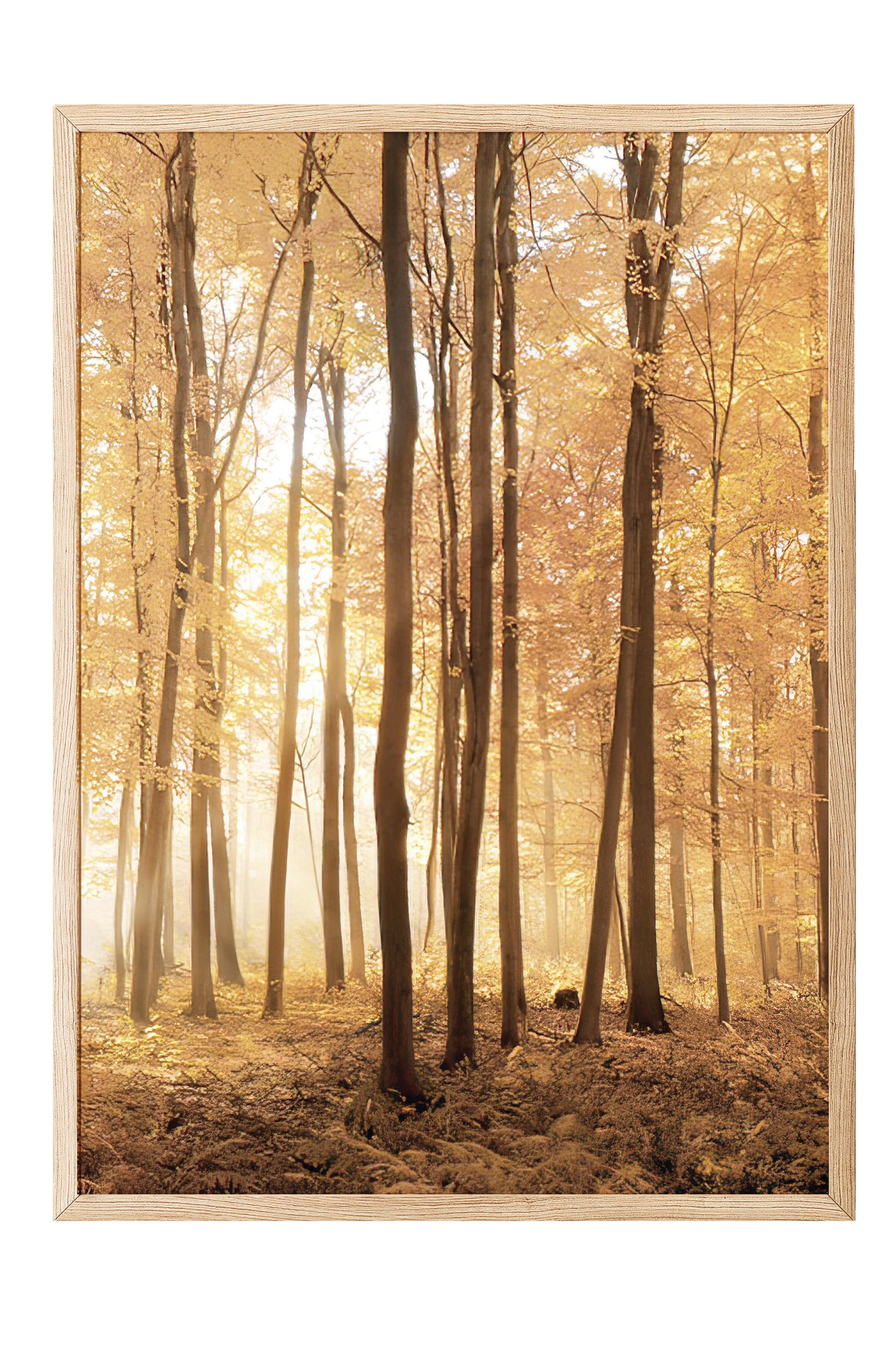 Autumn Trees Çerçeveli Tablo, Ahşap Çerçeve ve Poster, Dikey Duvar Tablosu Comfort Serisi NO:108347