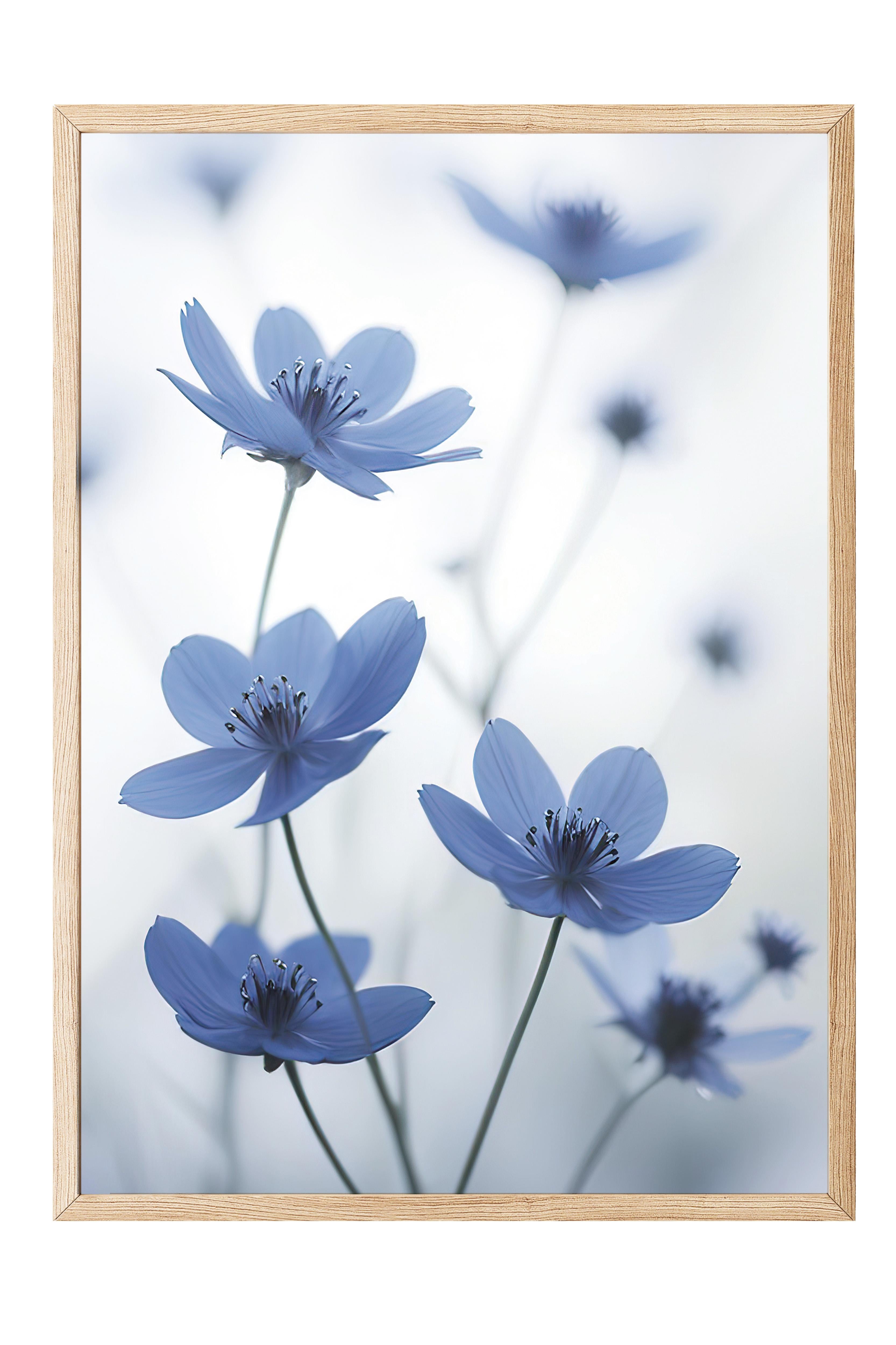 Blue Cosmos Flower Çerçeveli Tablo, Ahşap Çerçeve ve Poster, Duvar Tablosu Comfort Serisi NO:108373