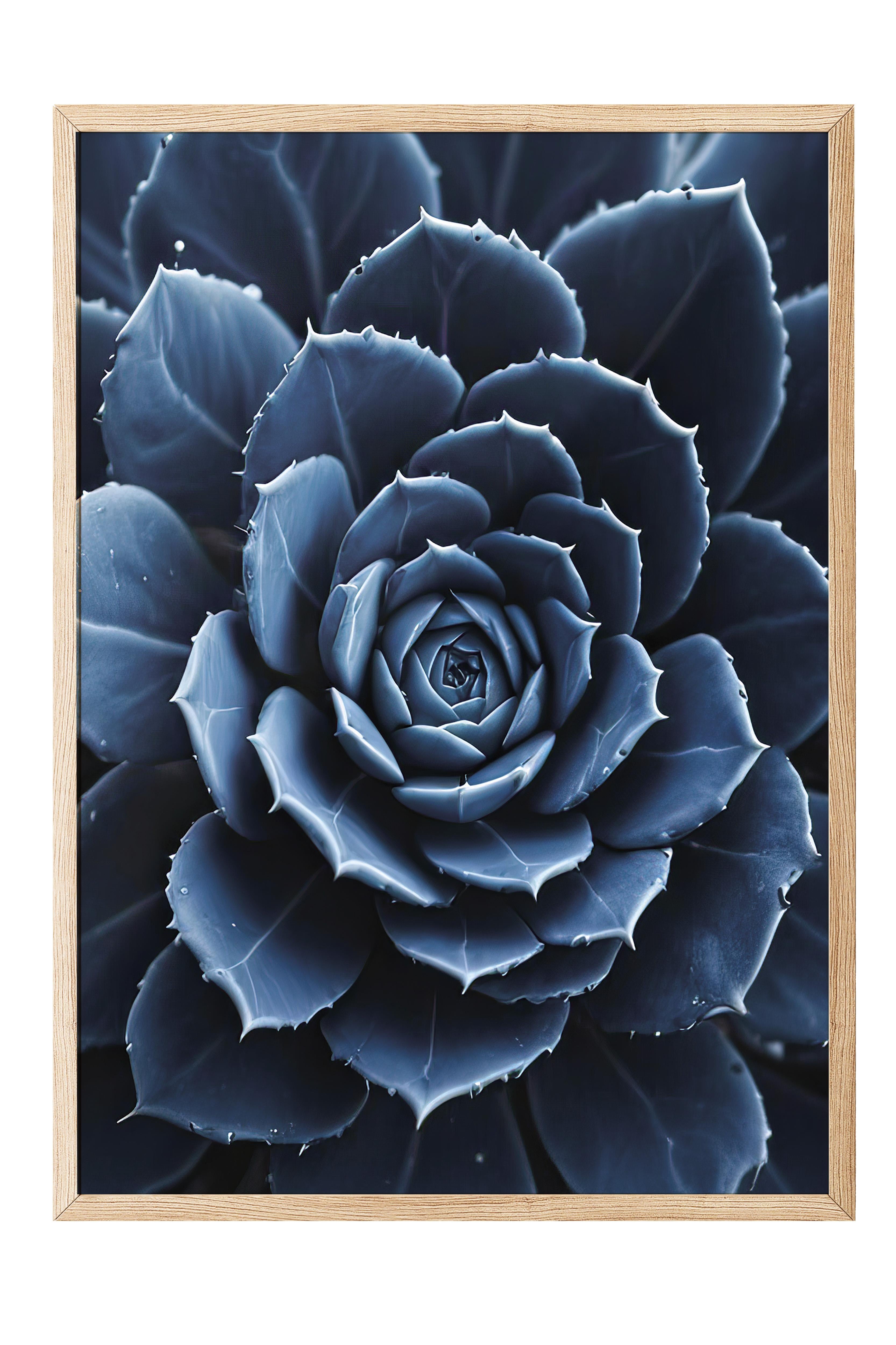 Blue flower cactus Çerçeveli Tablo, Ahşap Çerçeve ve Poster, Duvar Tablosu Comfort Serisi NO:108372