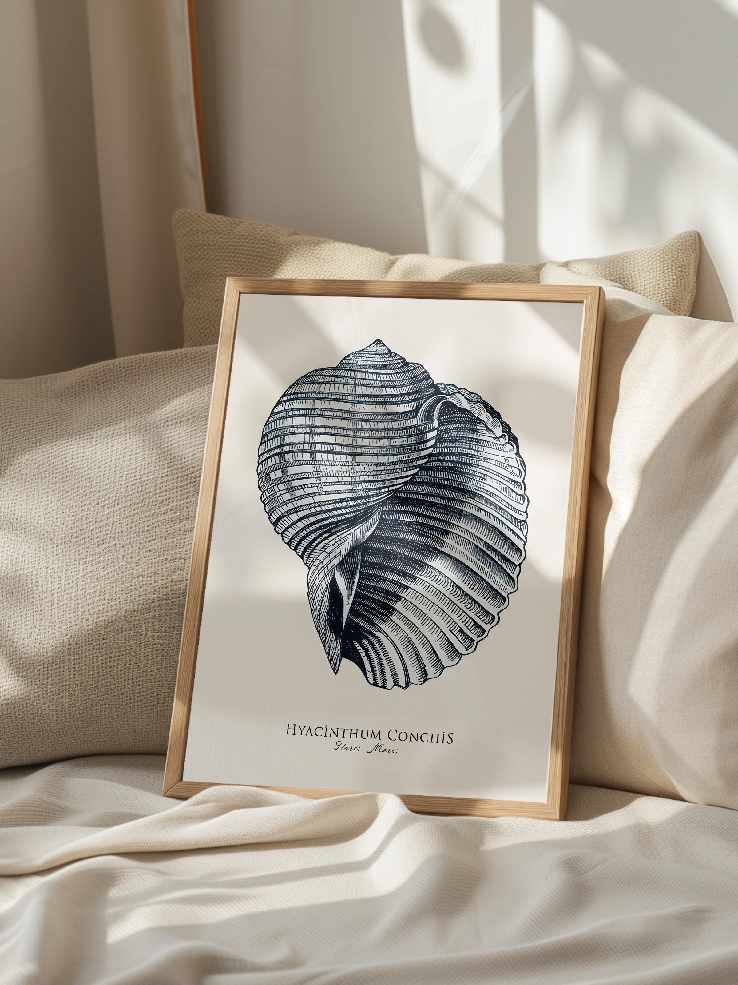 Blue Seashell  Çerçeveli Tablo, Ahşap Çerçeve ve Poster, Duvar Tablosu Comfort Serisi NO:108439