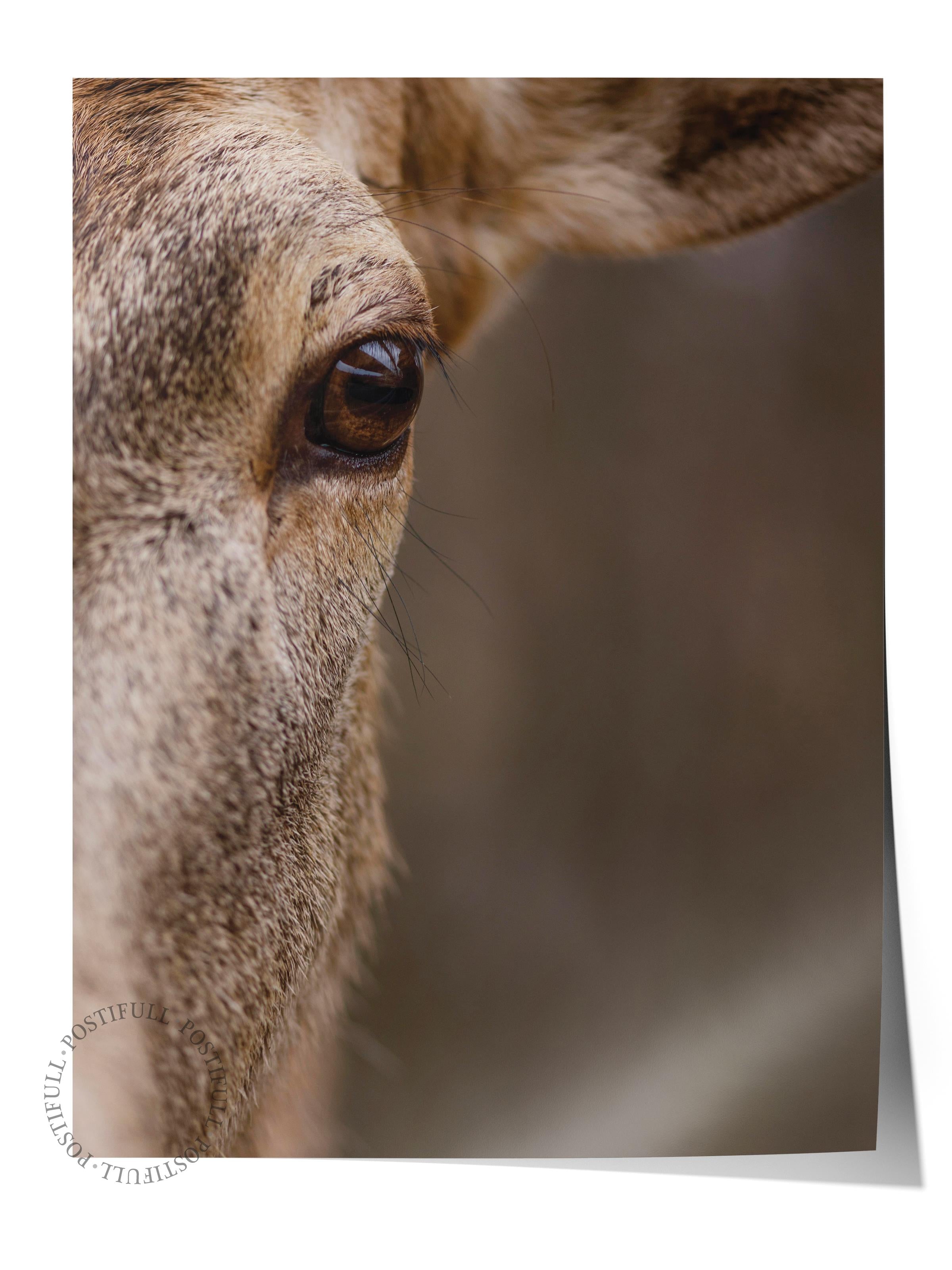 Çerçevesiz Poster, Hayvanlar & Safari Tablo No:11, HD Fotoğraf, Salon, Mutfak Duvar Dekoru Poster