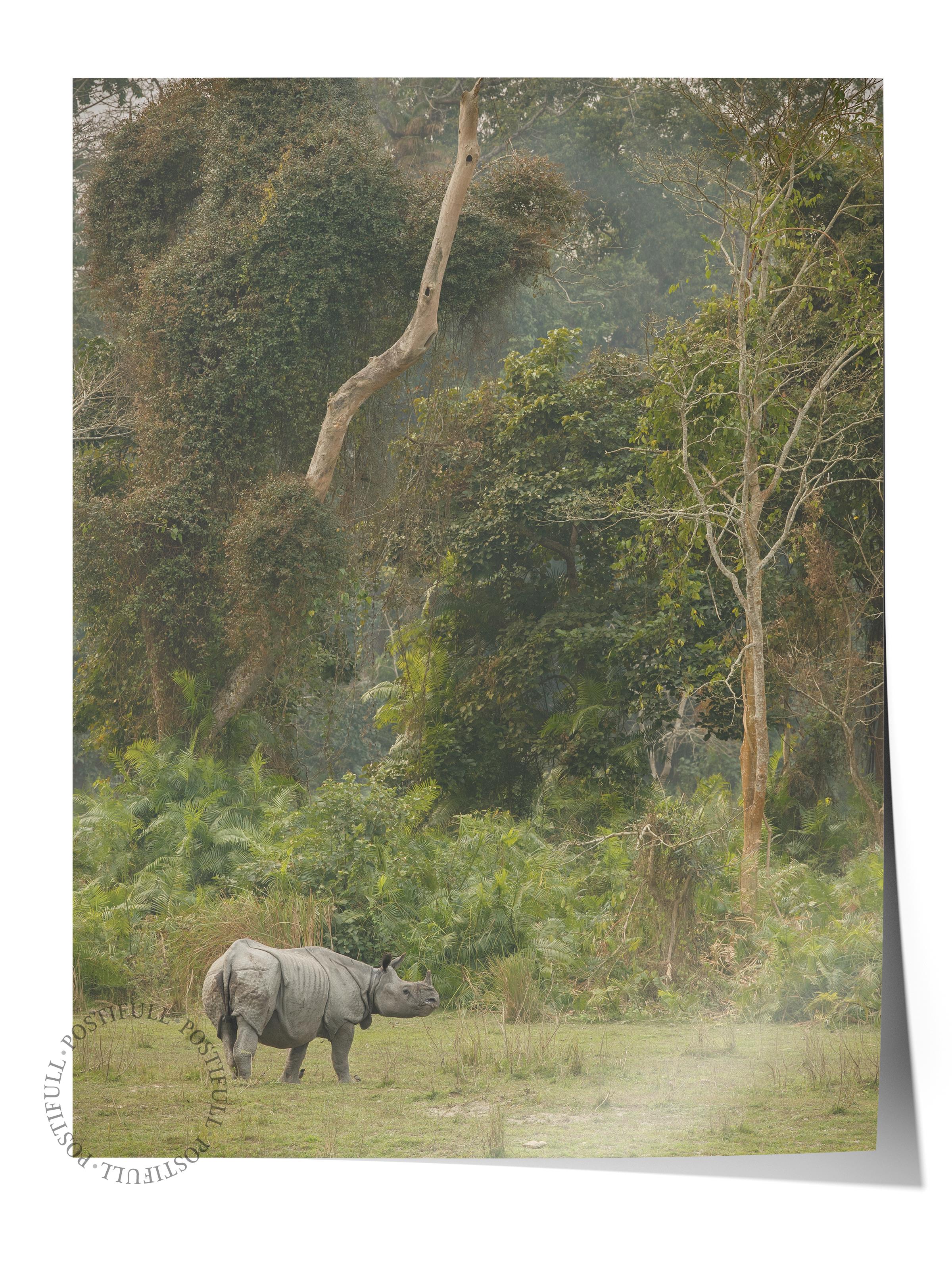 Çerçevesiz Poster, Hayvanlar & Safari Tablo No:21, HD Fotoğraf, Salon, Mutfak Duvar Dekoru Poster