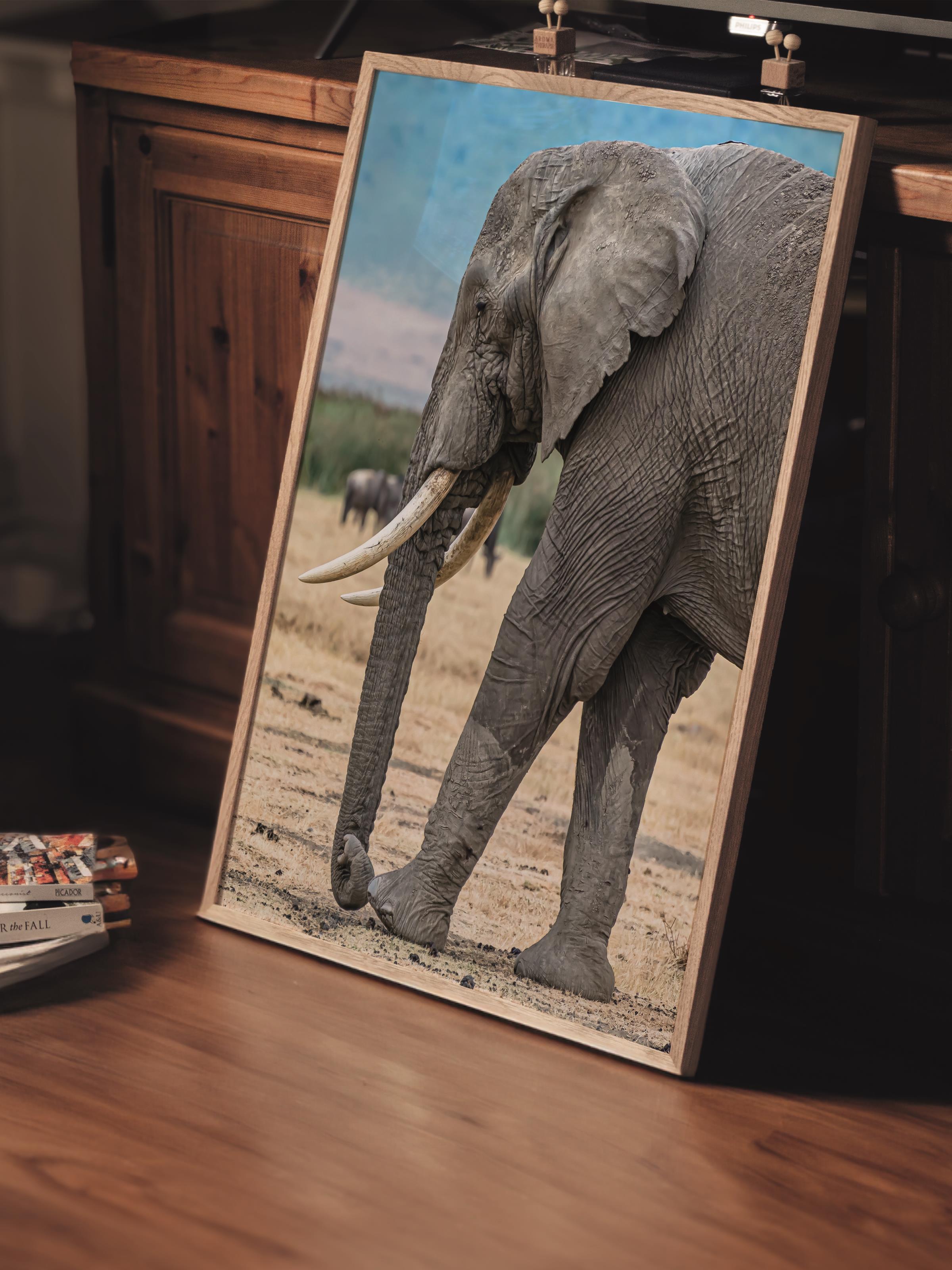 Çerçevesiz Poster, Hayvanlar & Safari Tablo No:37, HD Fotoğraf, Salon, Mutfak Duvar Dekoru Poster