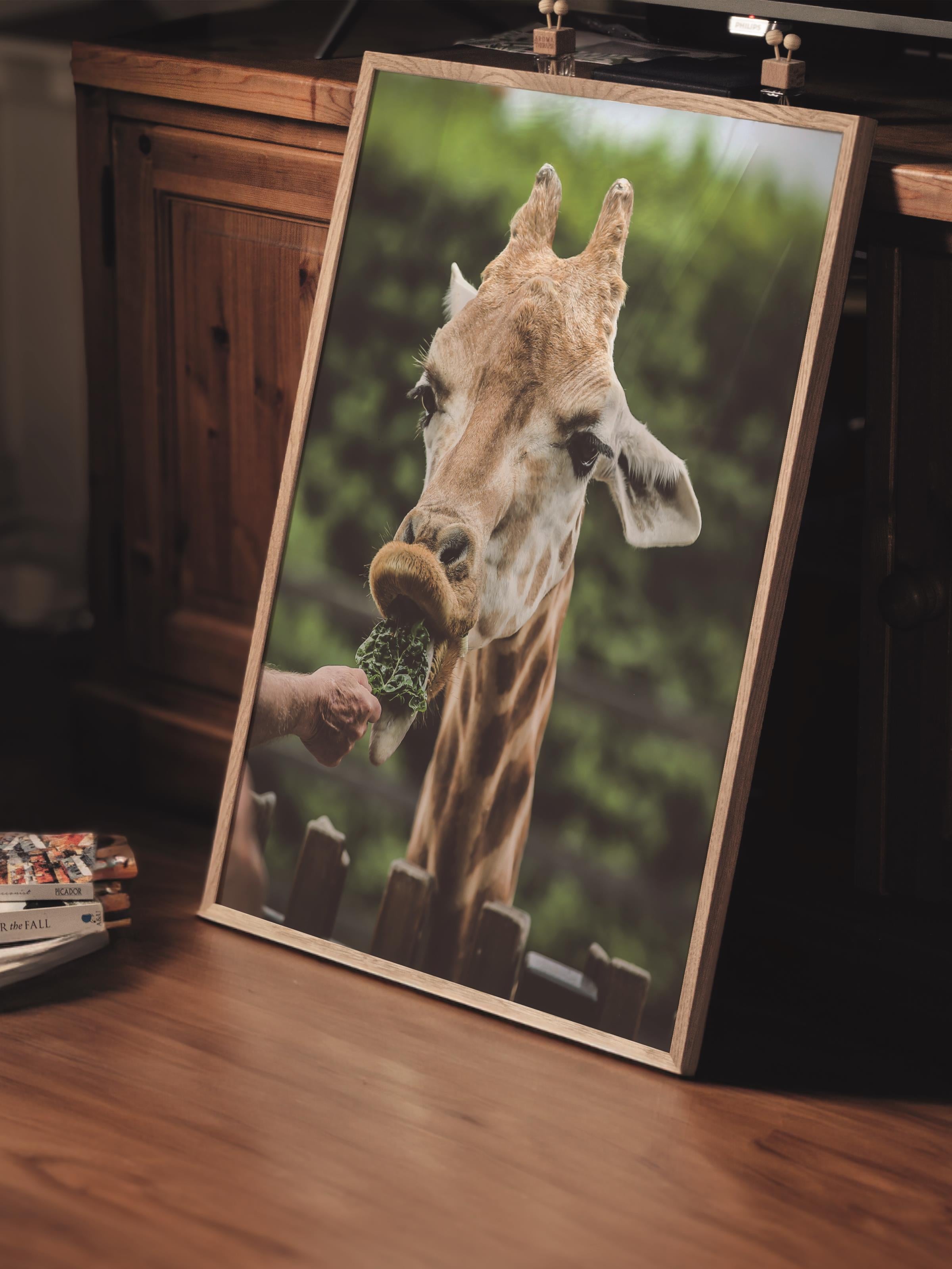 Çerçevesiz Poster, Hayvanlar & Safari Tablo No:9, HD Fotoğraf, Salon, Mutfak Duvar Dekoru Poster