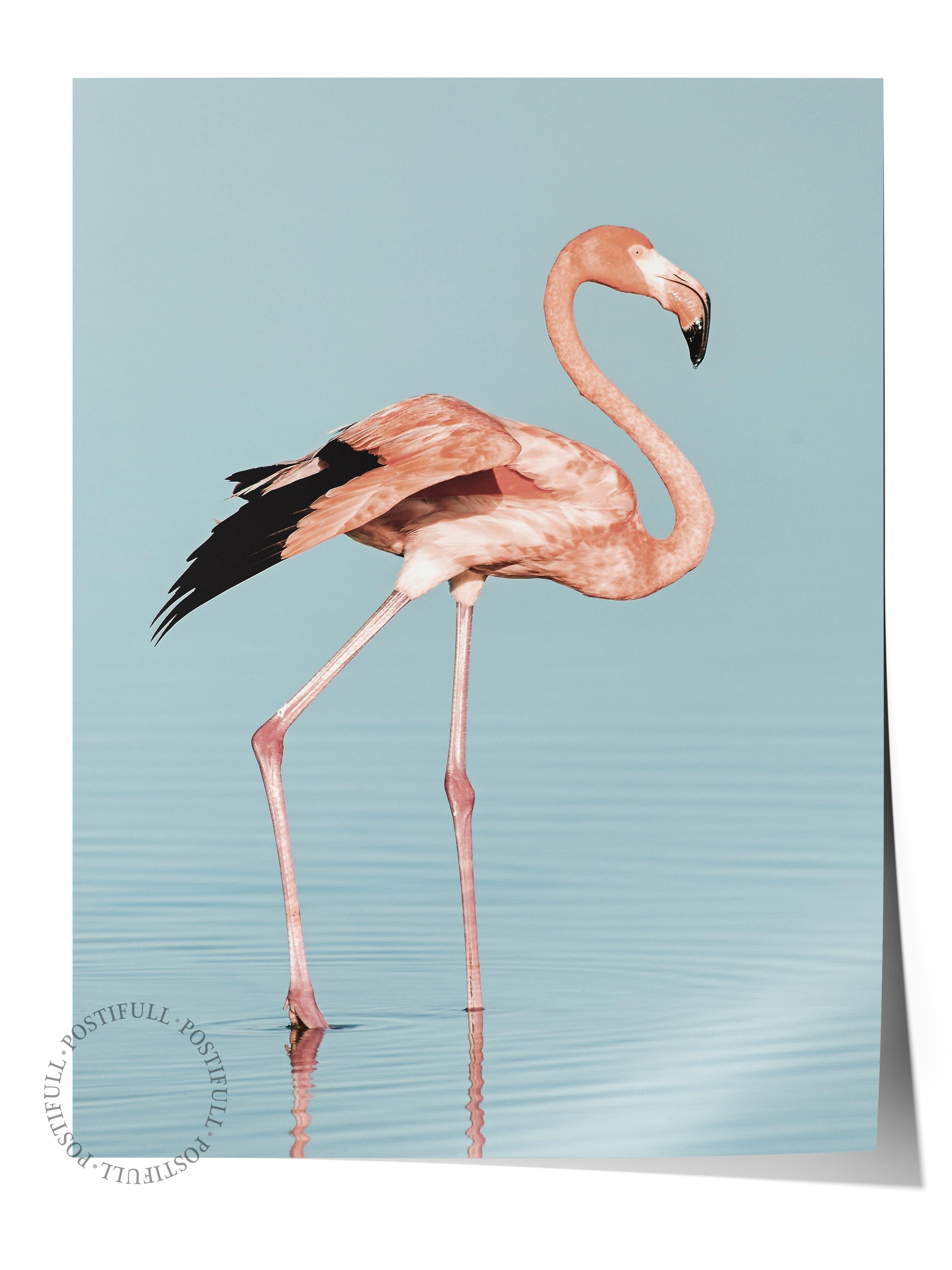 Çerçevesiz Poster, Yaz Temalı Tablo NO:113, Flamingo Fotoğrafı, Pembe Poster, Dikey