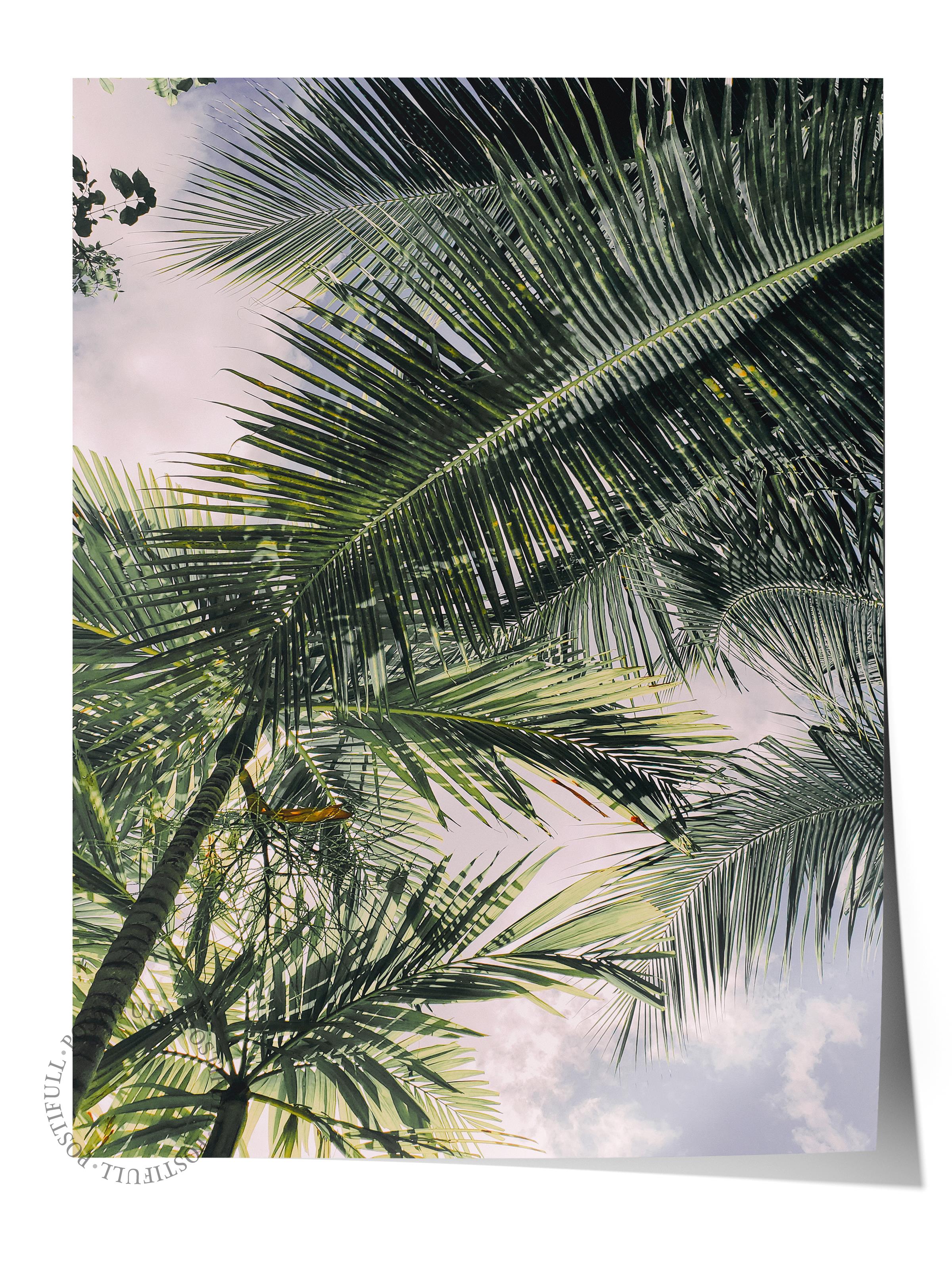 Çerçevesiz Poster, Yaz Temalı Tablo NO:57, Palmiye Ormanı Fotoğrafı, Yeşil Poster, Dikey