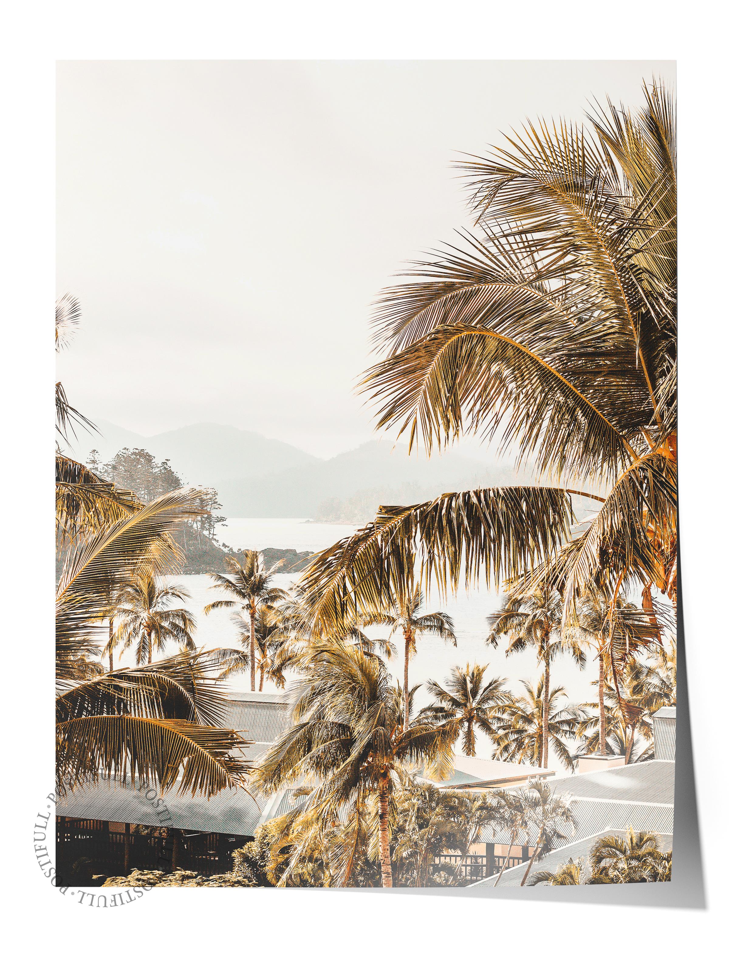 Çerçevesiz Poster, Yaz Temalı Tablo NO:80, Palmiye Ağaçları Fotoğrafı, Kahverengi Poster, Dikey