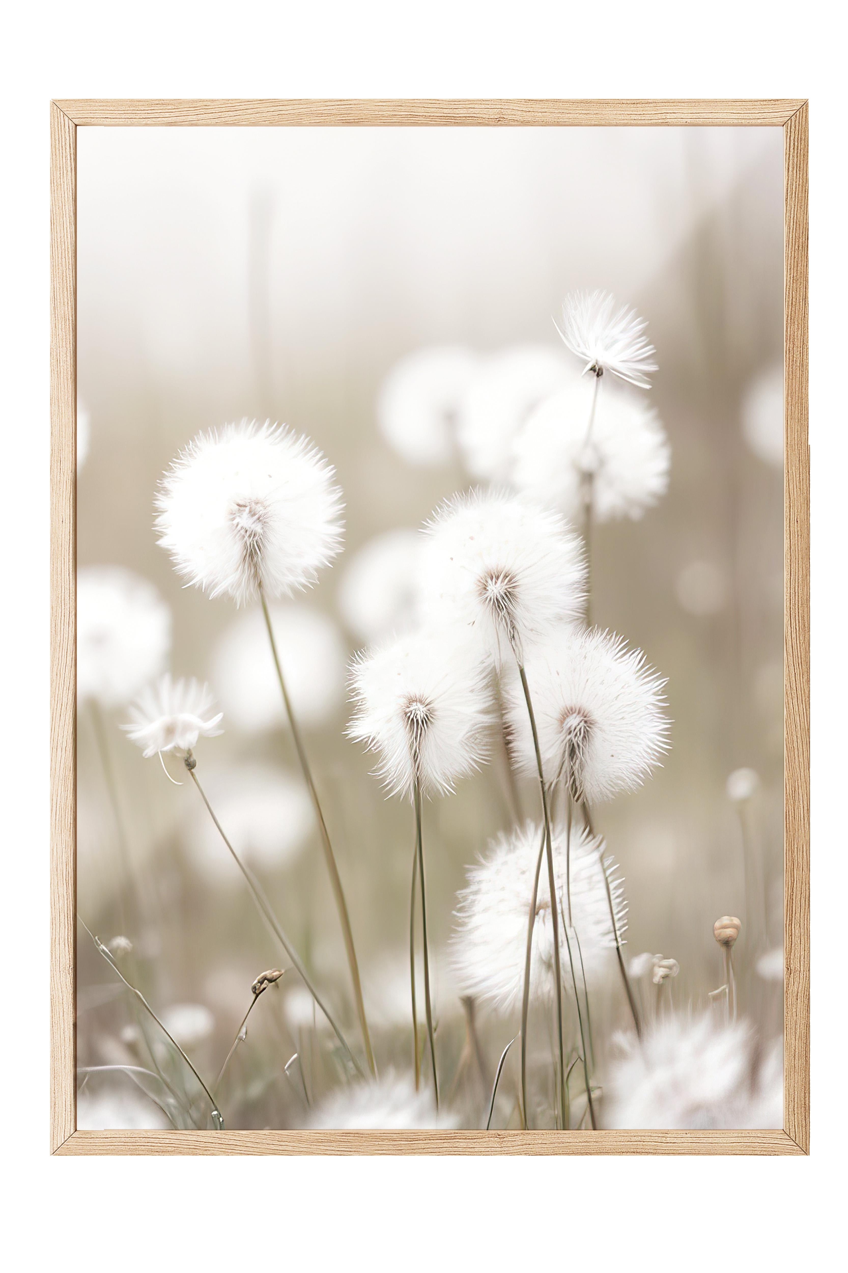 Cottongrass Çerçeveli Tablo, Ahşap Çerçeve ve Poster, Dikey Duvar Tablosu Comfort Serisi NO:108310