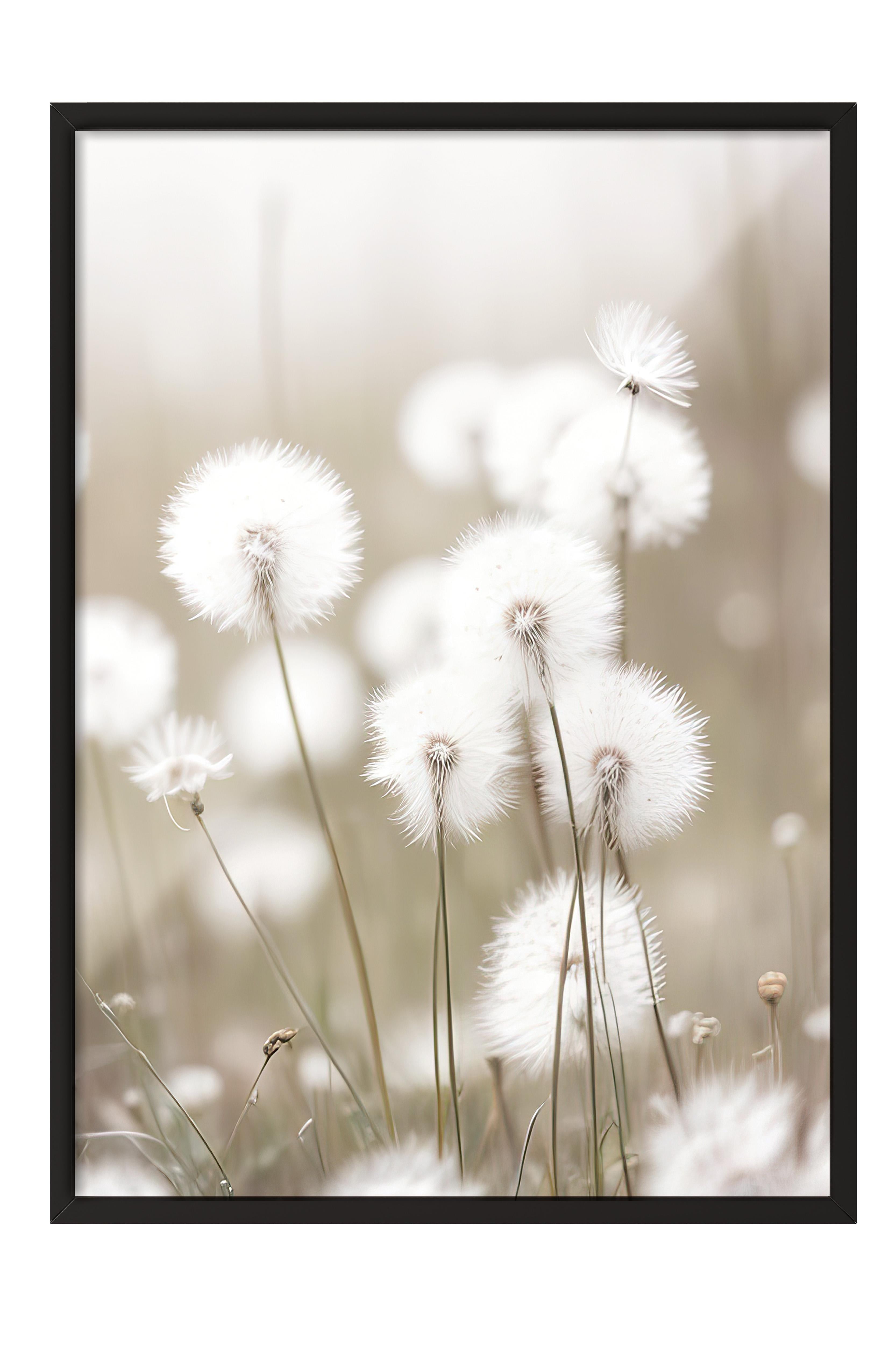 Cottongrass Çerçeveli Tablo, Siyah Çerçeve ve Poster, Dikey Duvar Tablosu Comfort Serisi NO:108310