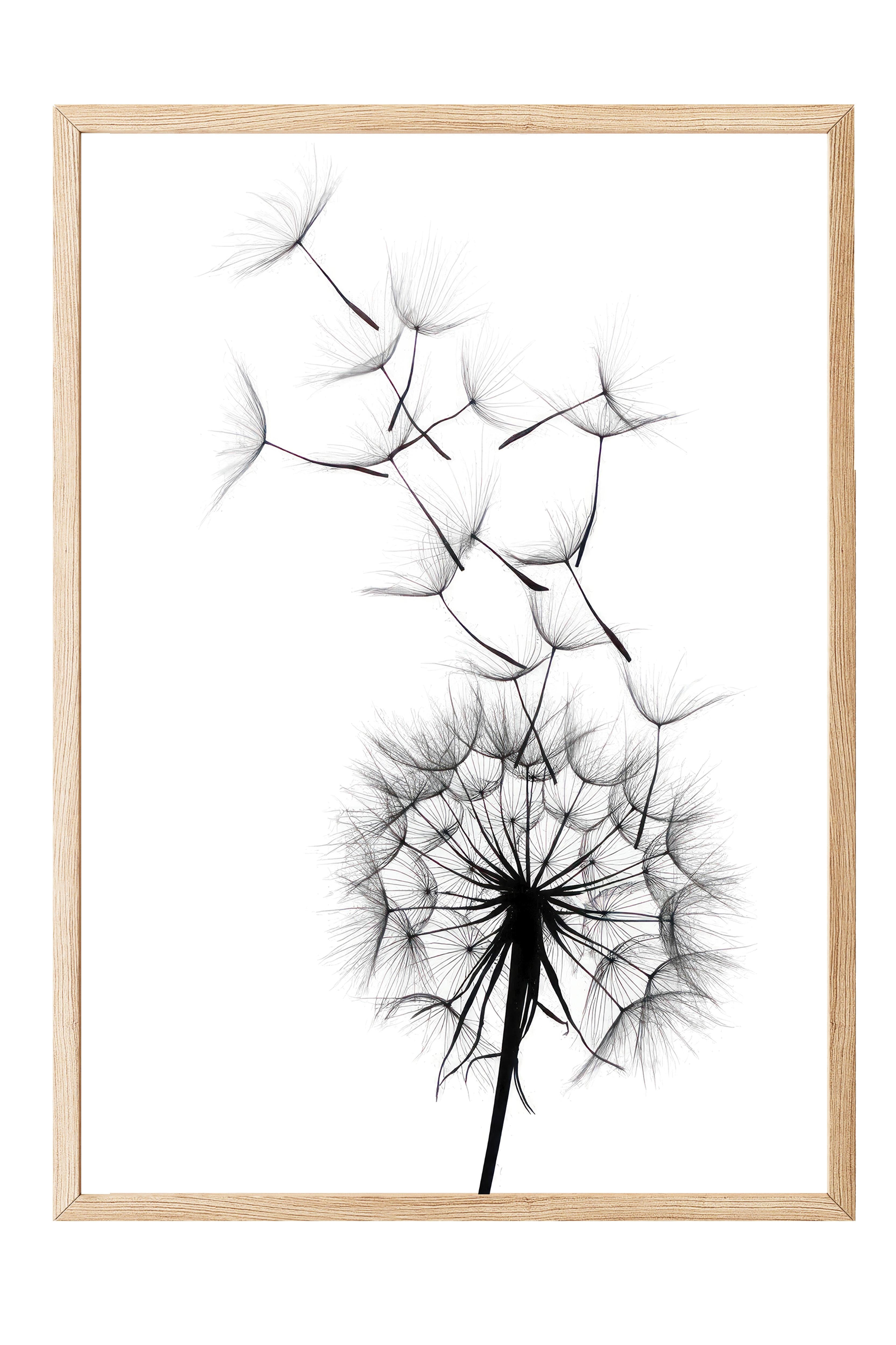 Dandelion wish Çerçeveli Tablo, Ahşap Çerçeve ve Poster, Duvar Tablosu Comfort Serisi NO:108520