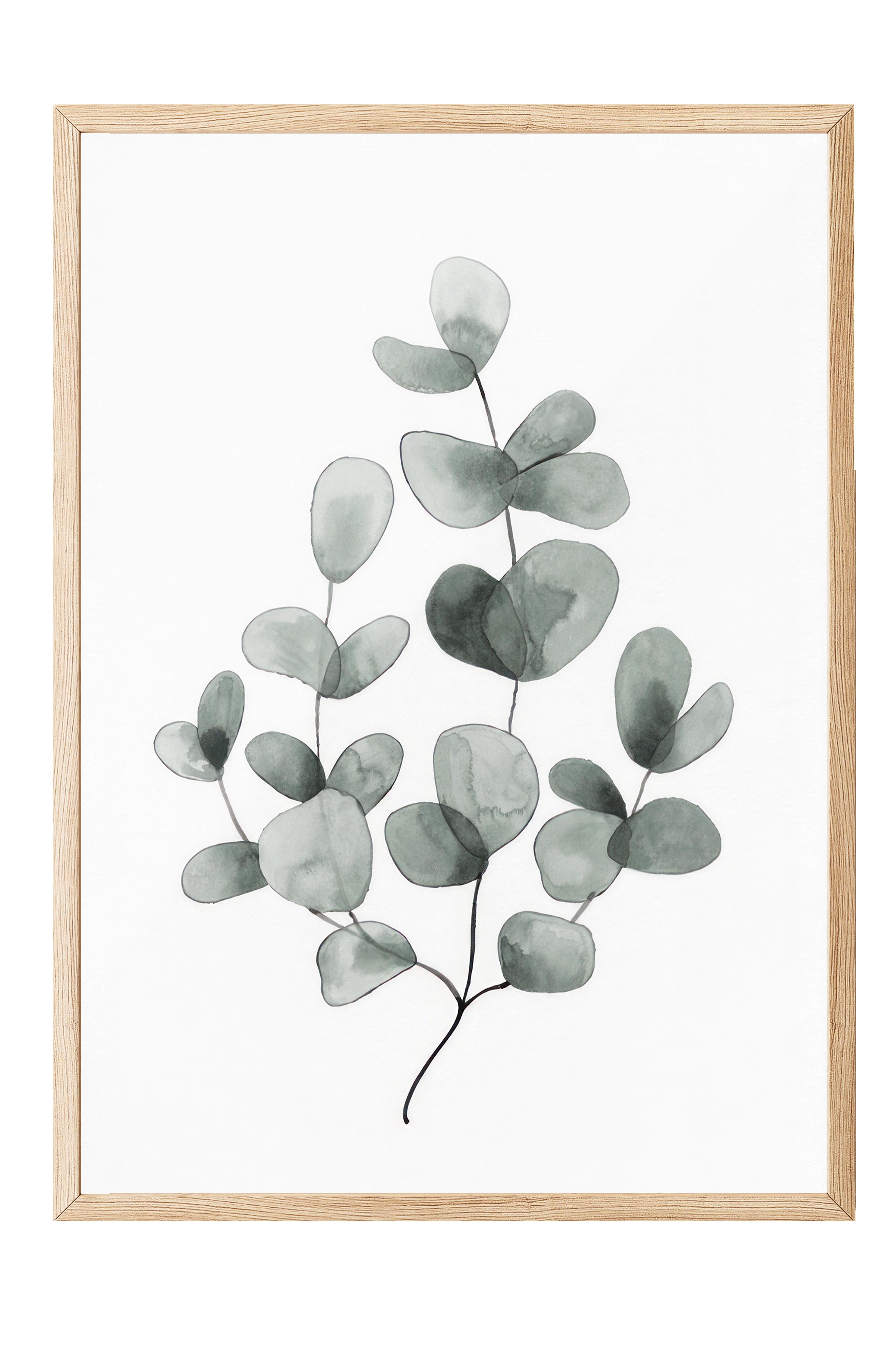 Eucalyptus No1 Çerçeveli Tablo, Ahşap Çerçeve ve Poster, Duvar Tablosu Comfort Serisi NO:108454