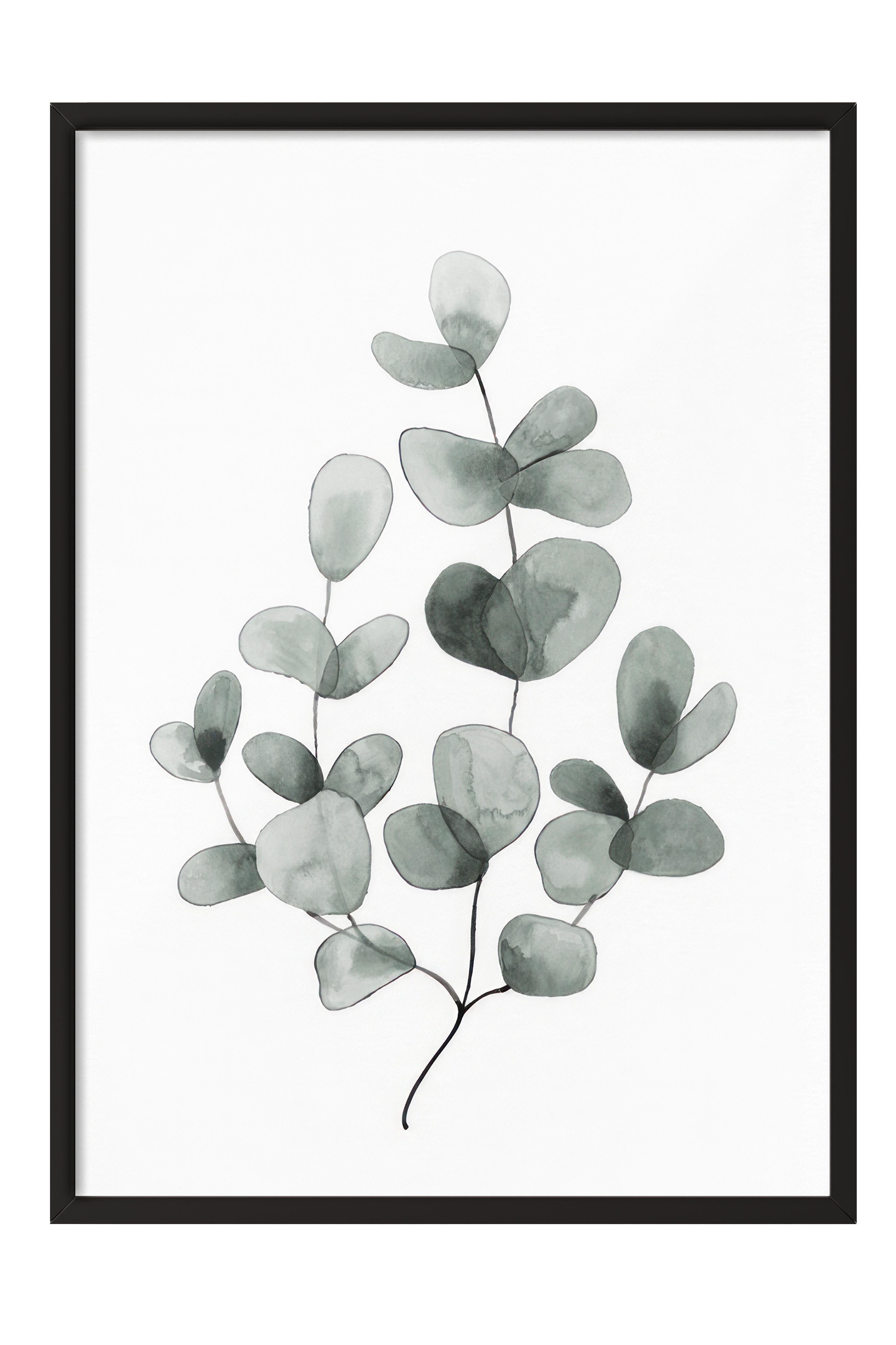 Eucalyptus No1 Çerçeveli Tablo, Siyah Çerçeve ve Poster, Duvar Tablosu Comfort Serisi NO:108454