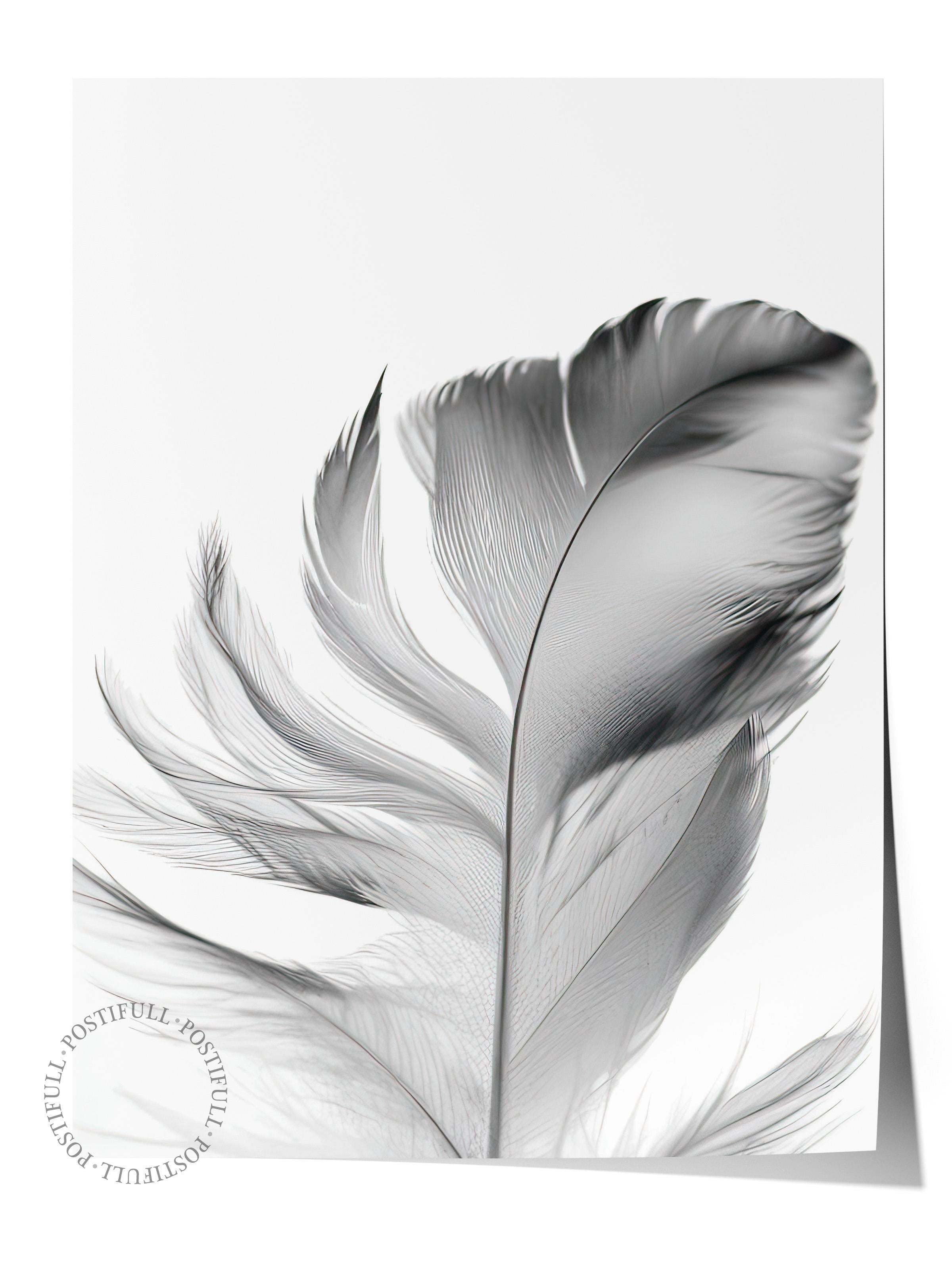 Feather Poster, Çerçevesiz Duvar Posteri, Dikey Duvar Tablosu Comfort Serisi NO:108302