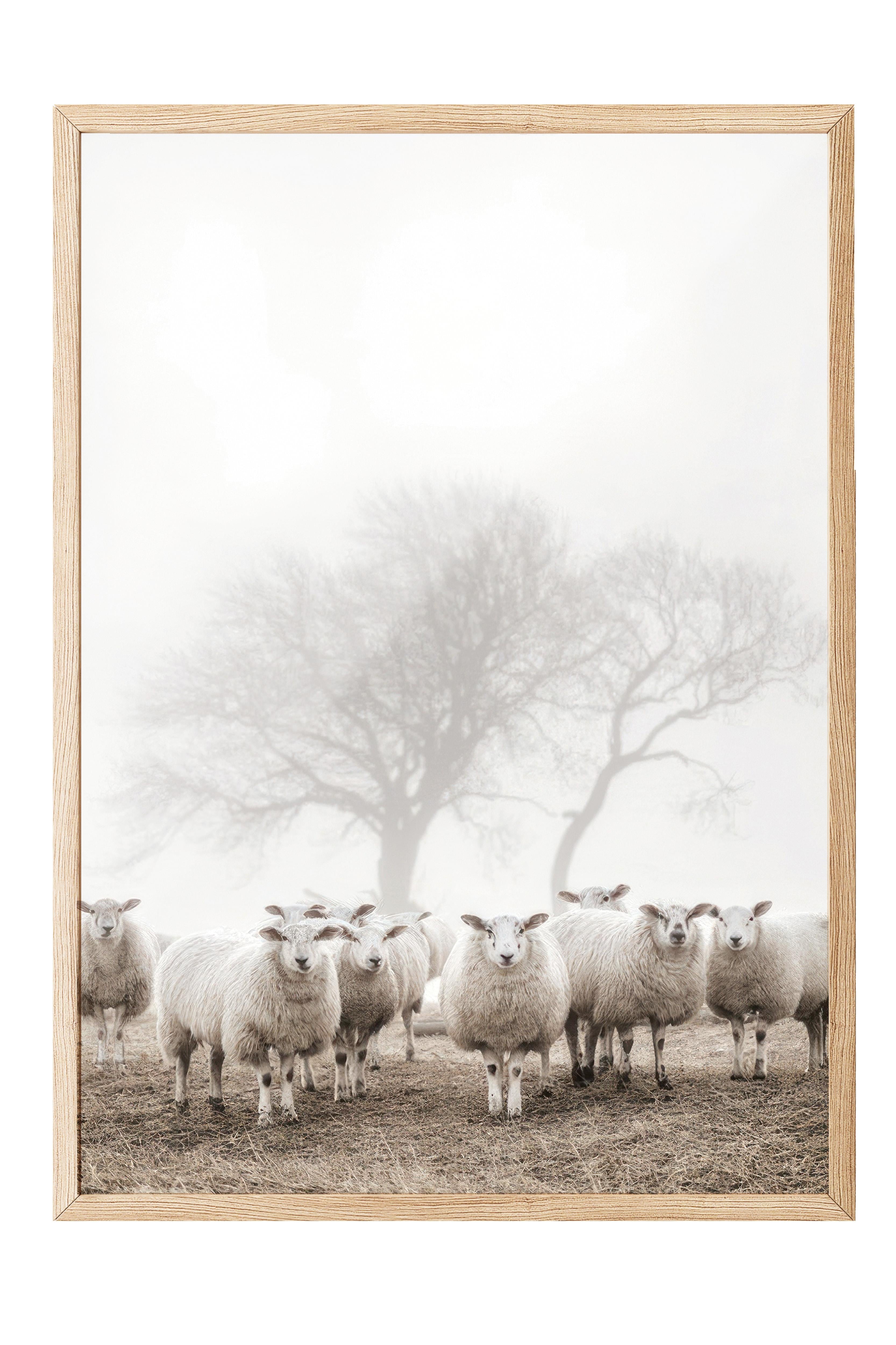 Flock of Sheep Çerçeveli Tablo, Ahşap Çerçeve ve Poster, Duvar Tablosu Comfort Serisi NO:108505