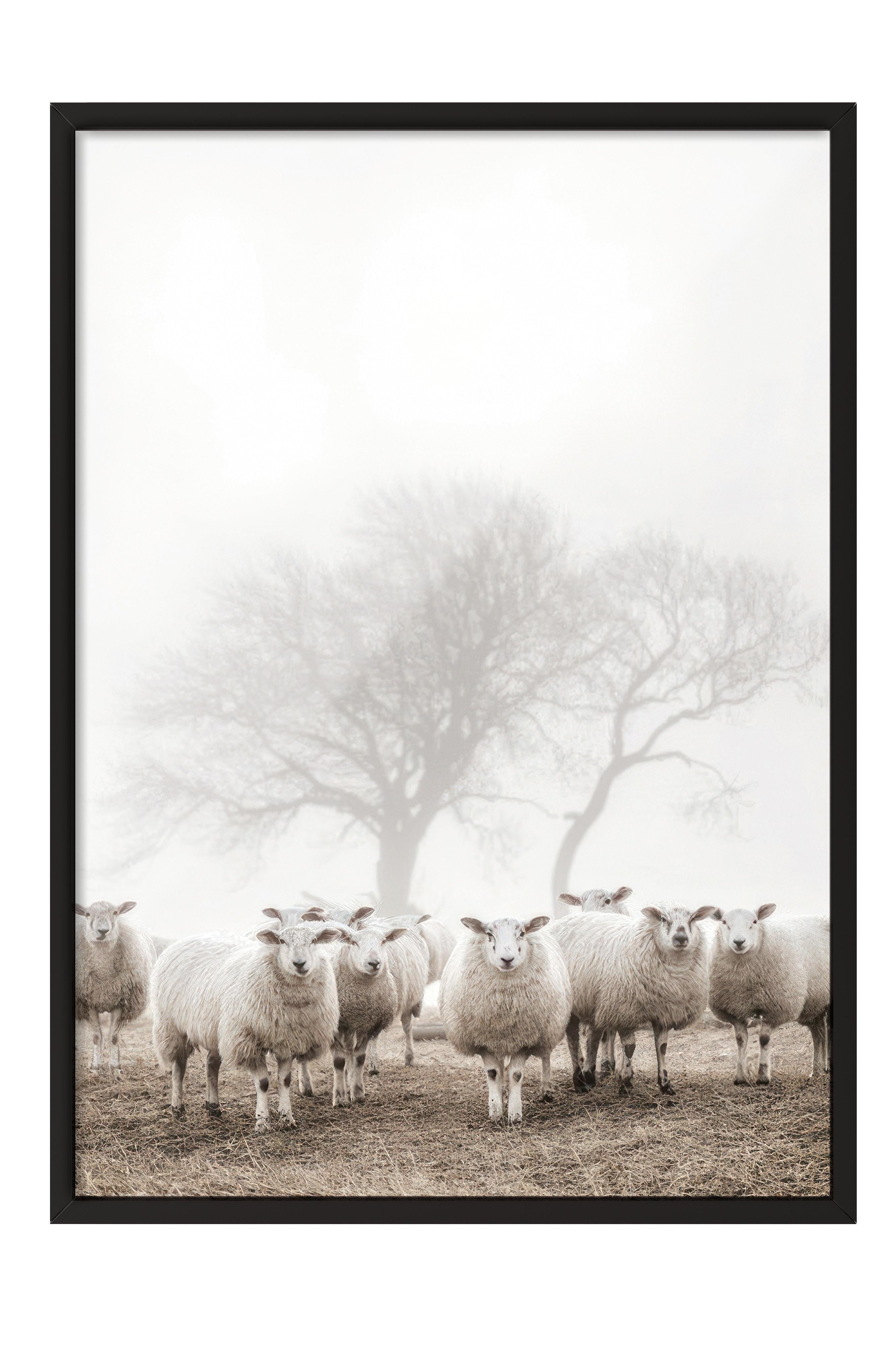 Flock of Sheep Çerçeveli Tablo, Siyah Çerçeve ve Poster, Duvar Tablosu Comfort Serisi NO:108505