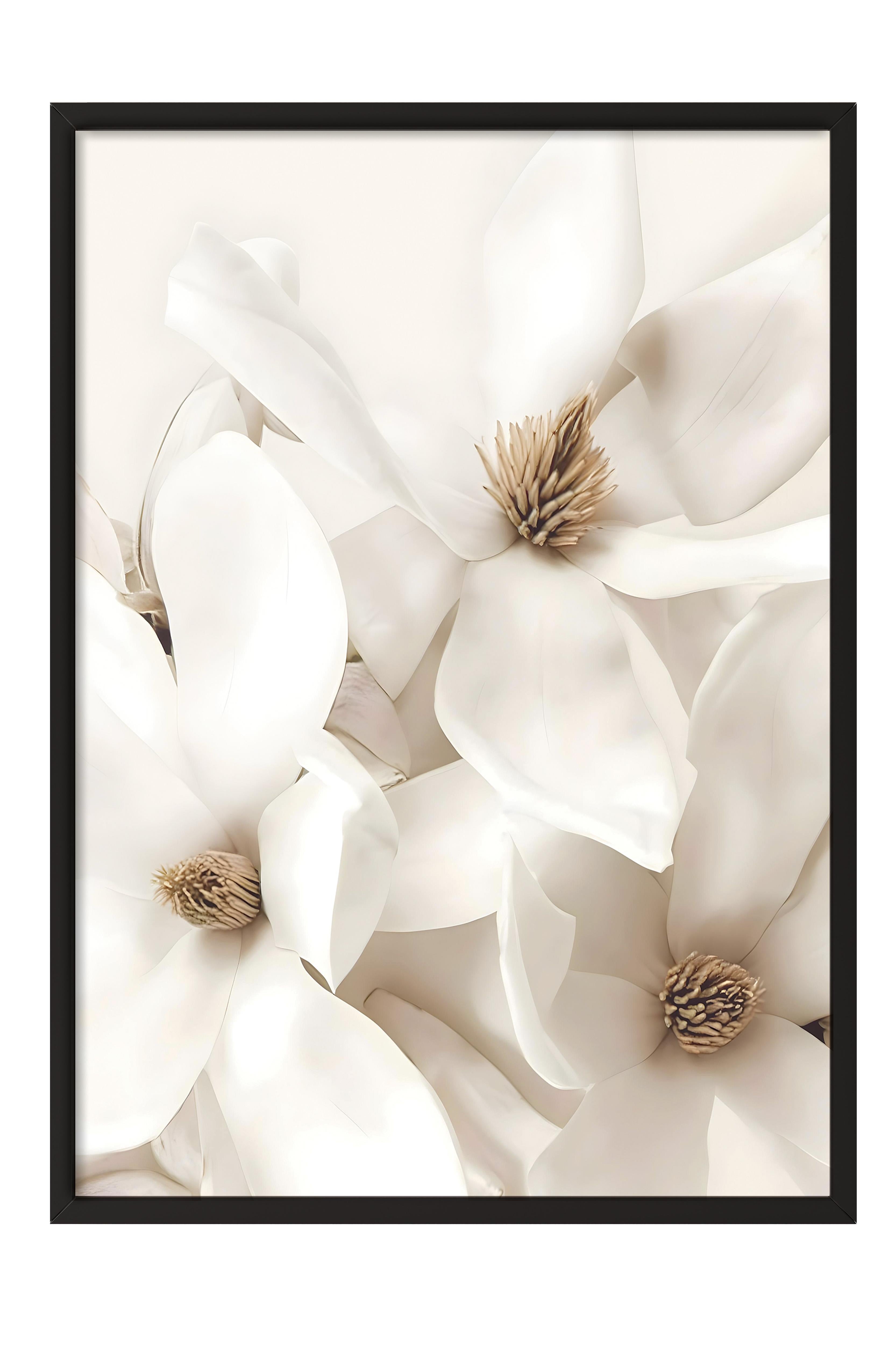 Flowering Magnolia Çerçeveli Tablo, Siyah Çerçeve ve Poster, Duvar Tablosu Comfort Serisi NO:108416