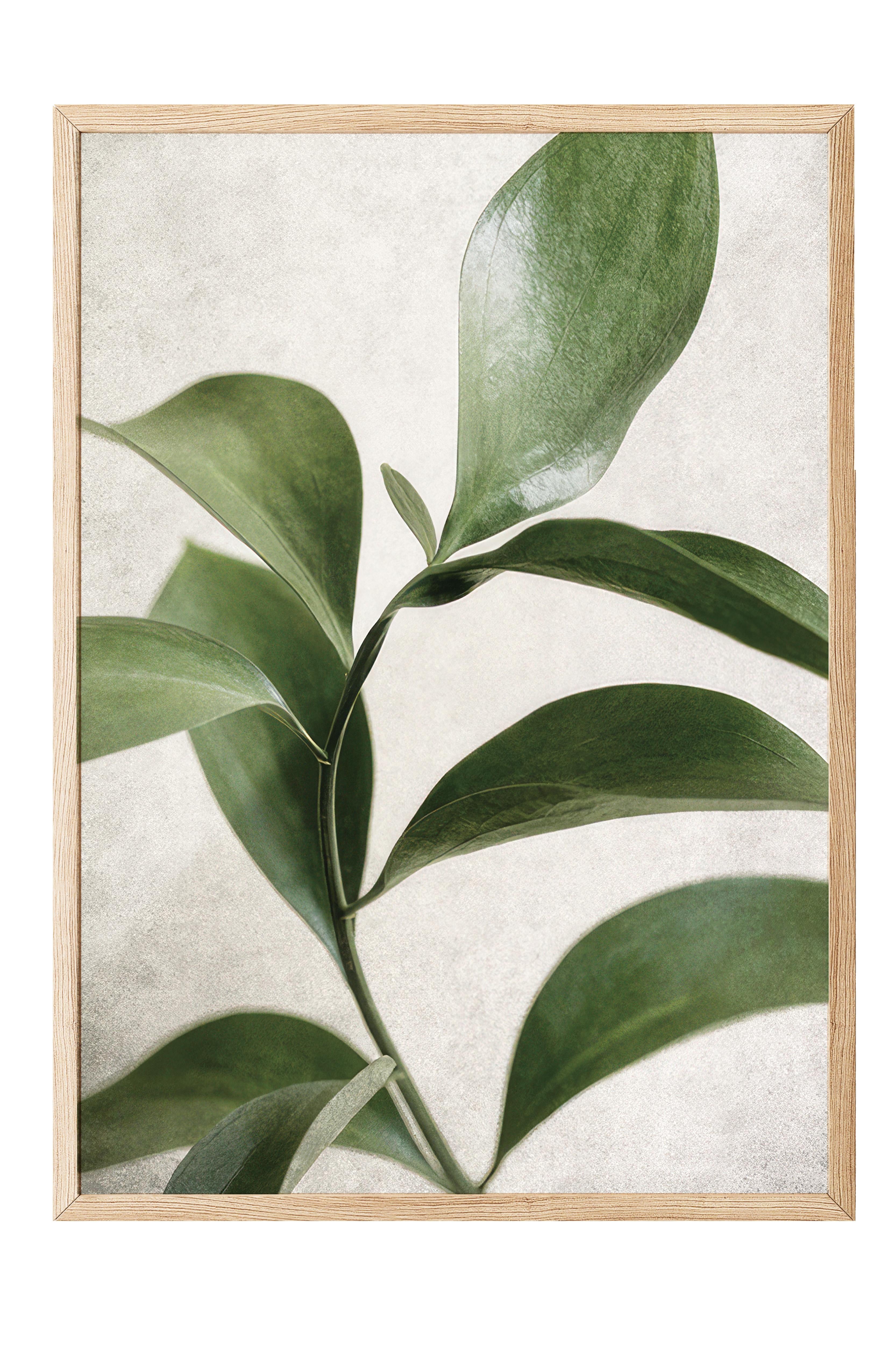 Green Botanical Çerçeveli Tablo, Ahşap Çerçeve ve Poster, Duvar Tablosu Comfort Serisi NO:108467