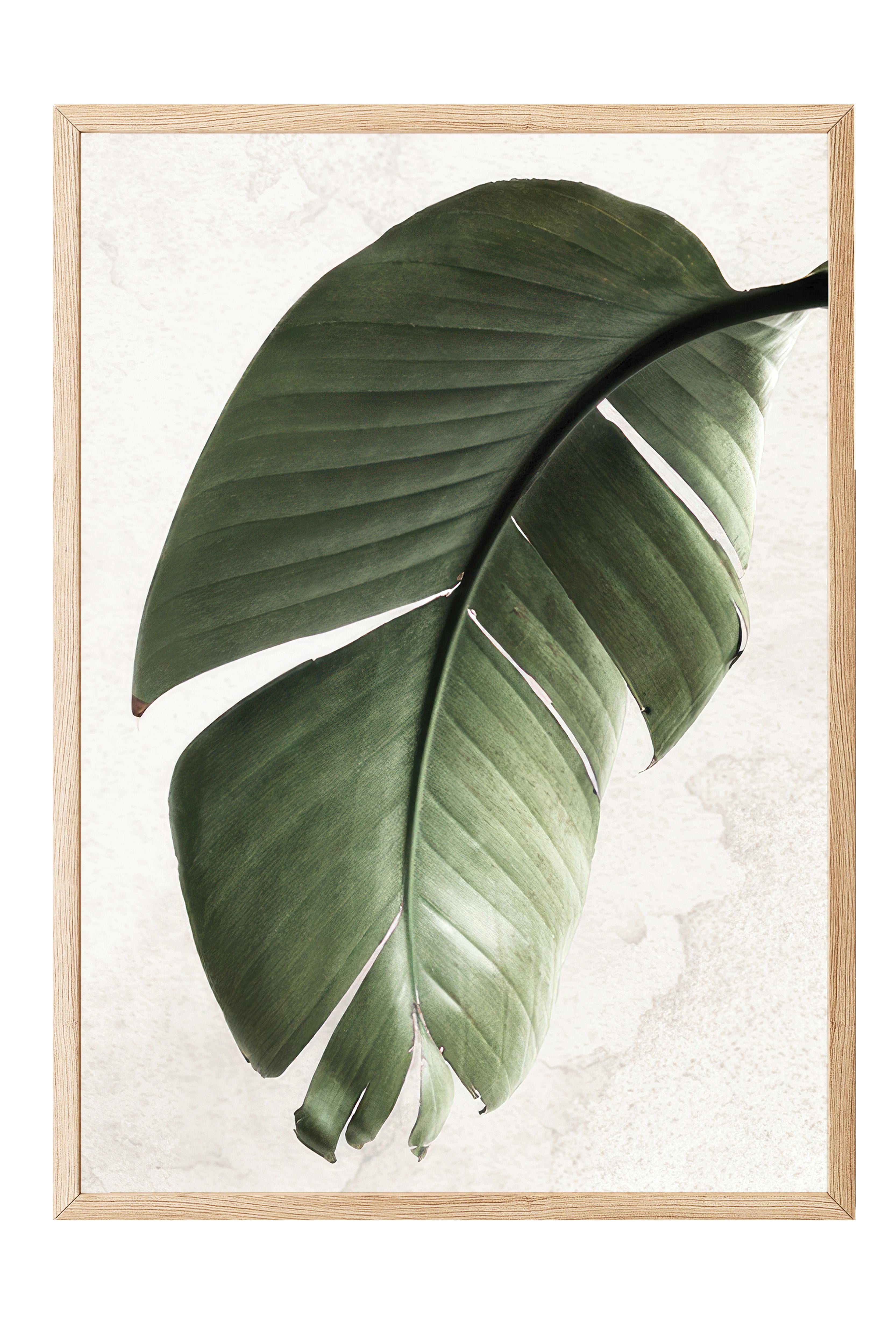 Green Strelitzia Leaf Ahşap Çerçeveli Tablo, Duvar Tablosu Comfort Serisi NO:108550