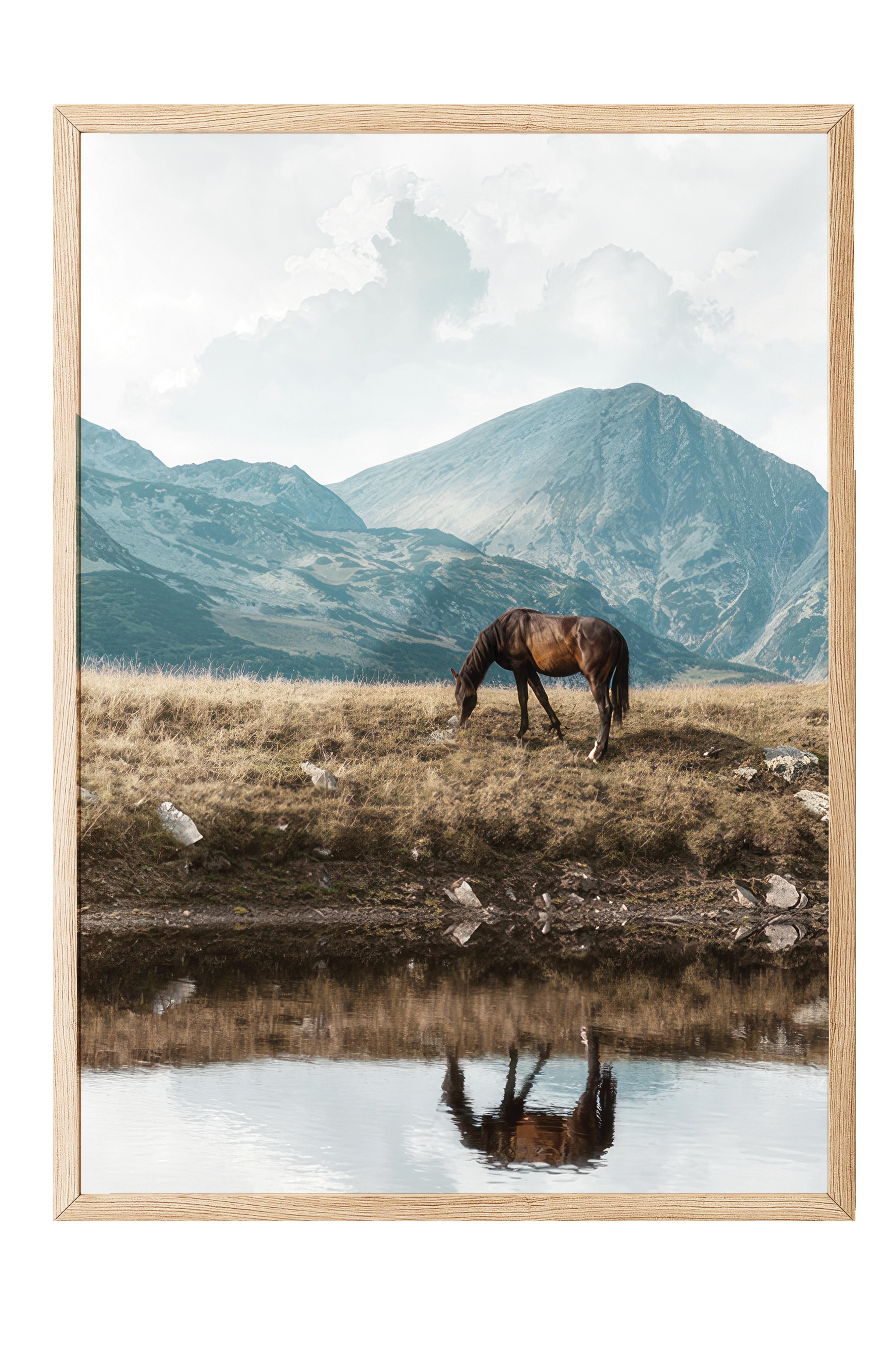 Highland Horse  Çerçeveli Tablo, Ahşap Çerçeve ve Poster, Duvar Tablosu Comfort Serisi NO:108446