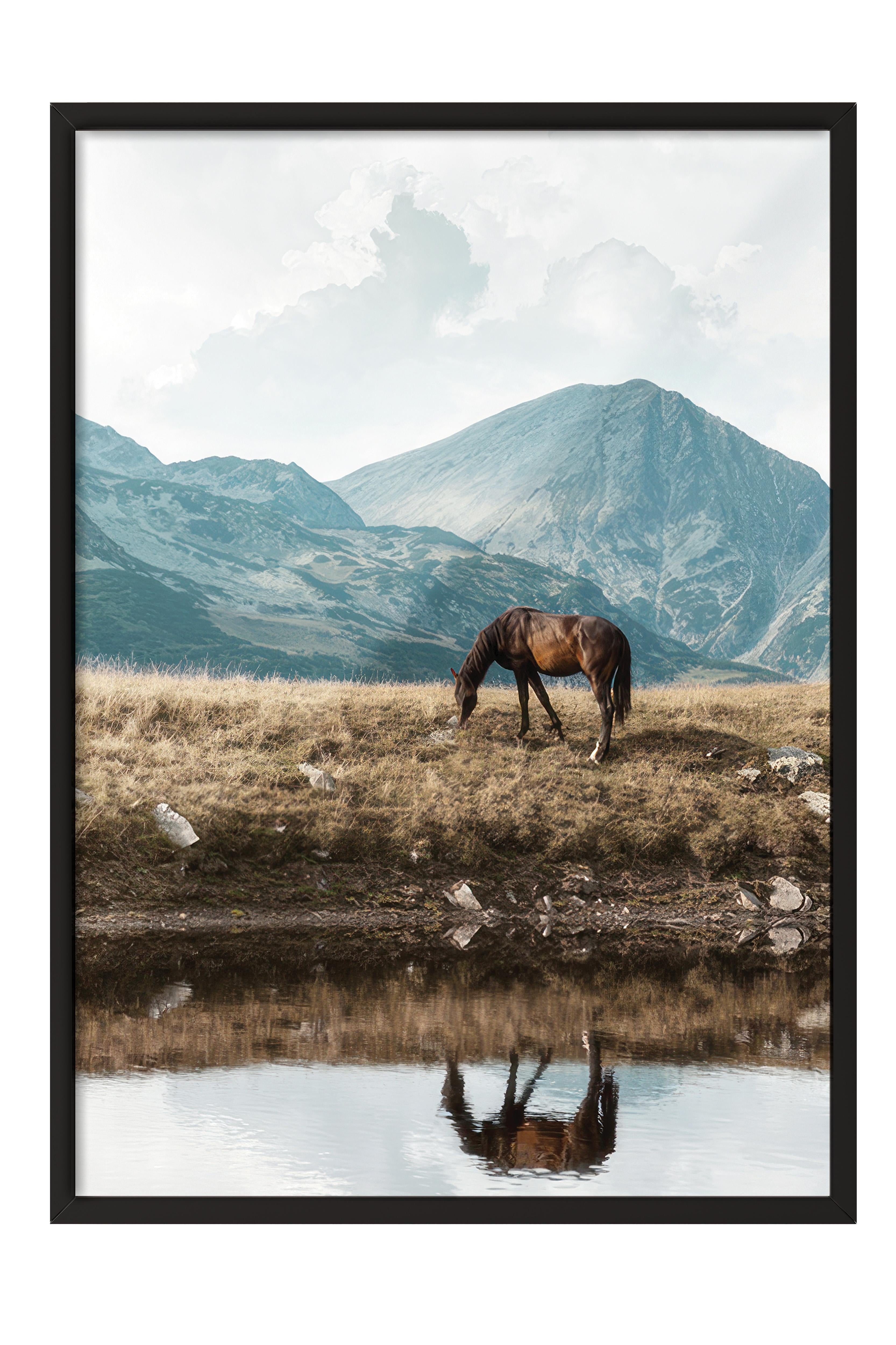 Highland Horse  Çerçeveli Tablo, Siyah Çerçeve ve Poster, Duvar Tablosu Comfort Serisi NO:108446