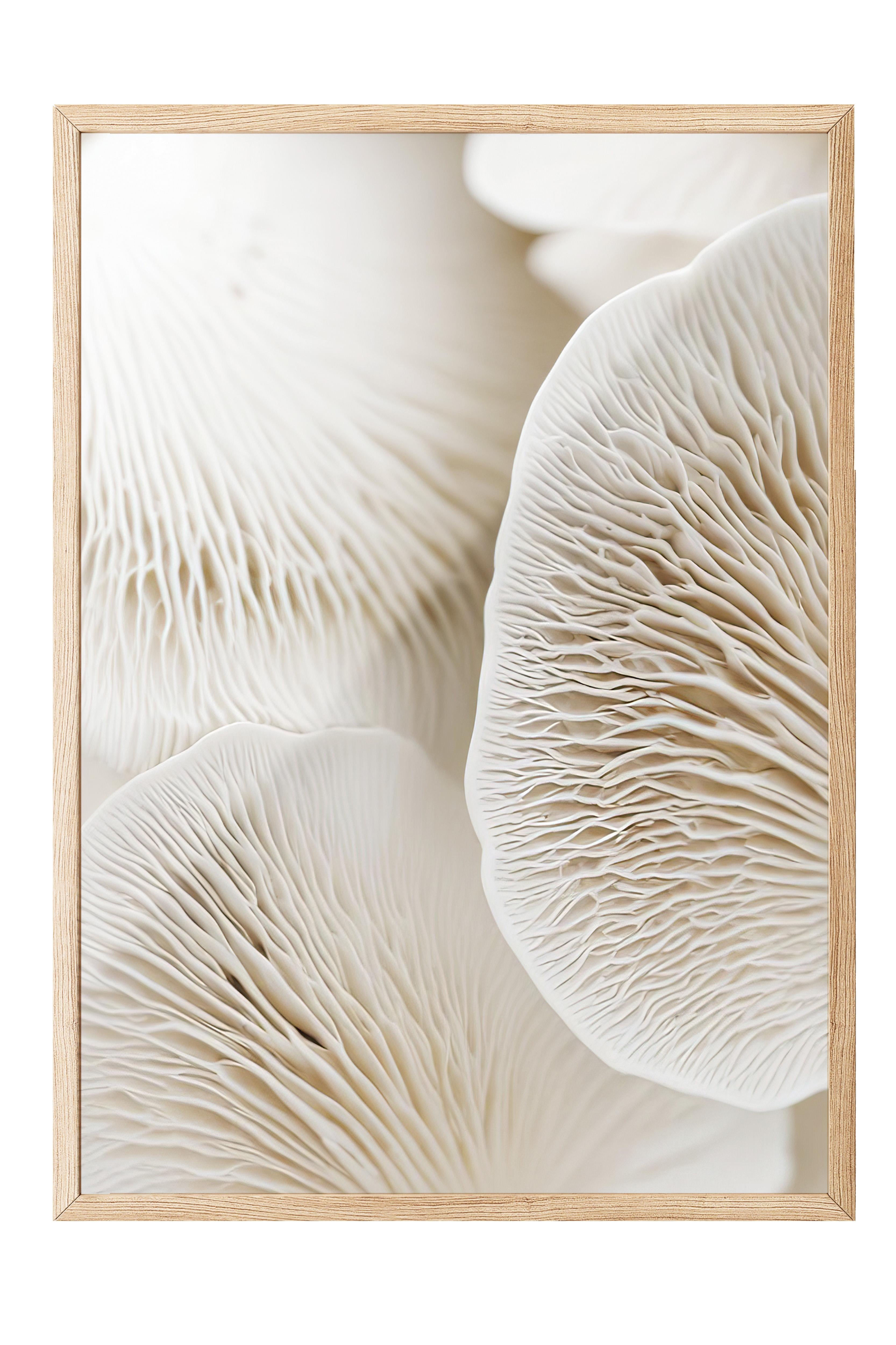 Mushroom Dream  Çerçeveli Tablo, Ahşap Çerçeve ve Poster, Duvar Tablosu Comfort Serisi NO:108343