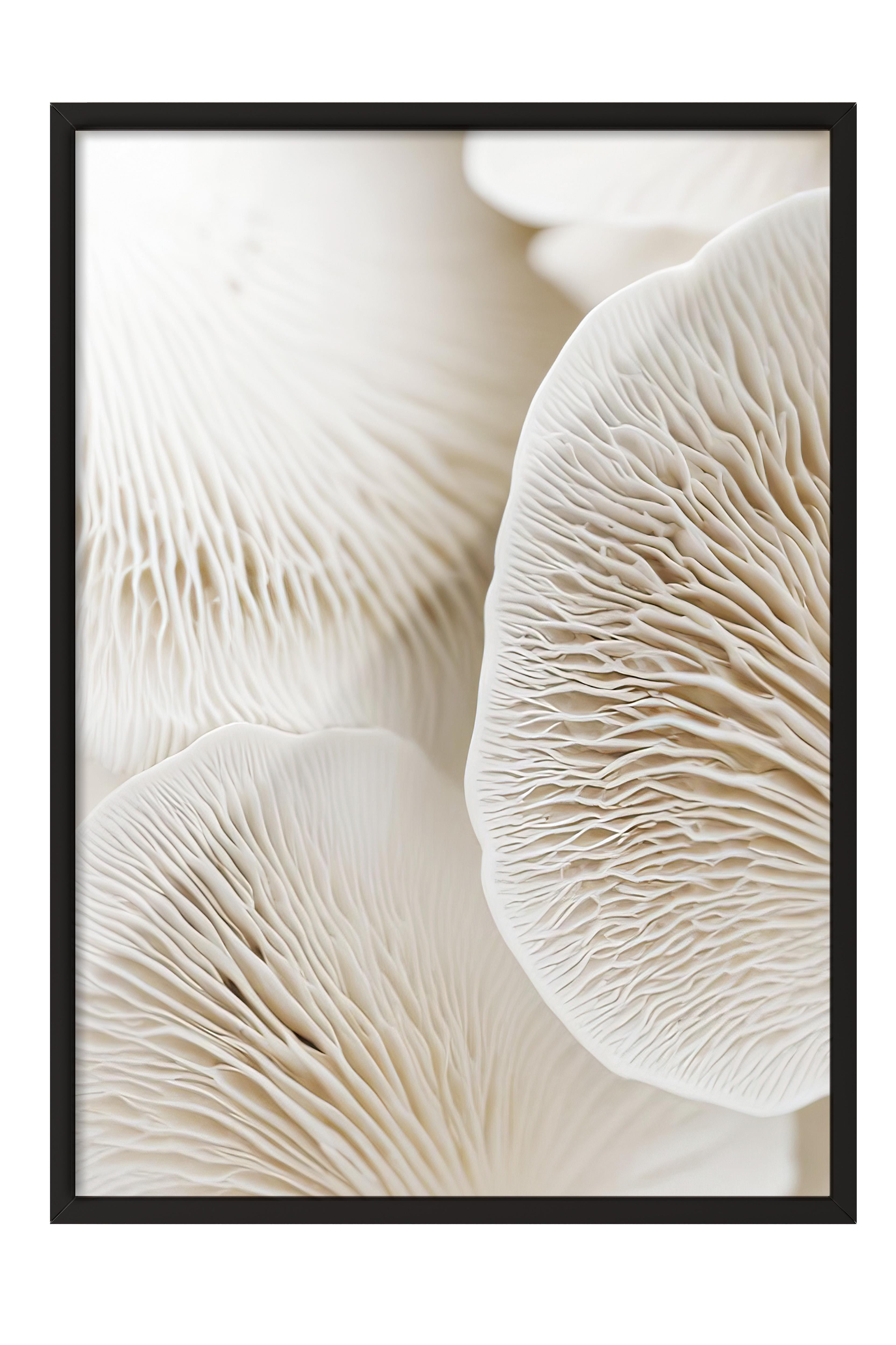 Mushroom Dream  Çerçeveli Tablo, Siyah Çerçeve ve Poster, Duvar Tablosu Comfort Serisi NO:108343