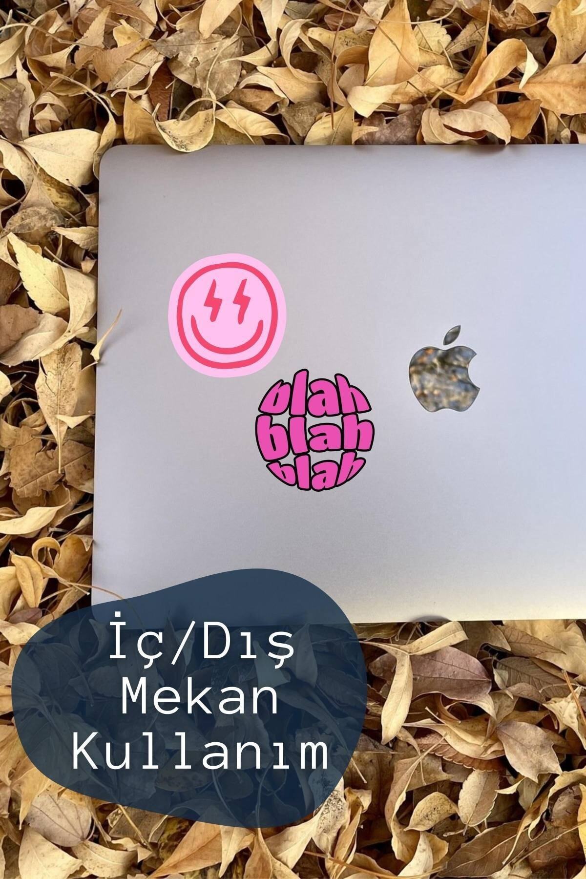 Pembe Temalı Sticker Seti - 6 Adet Etiket Seti- Telefon, Tablet, Defter Laptop Uyumlu Etiket