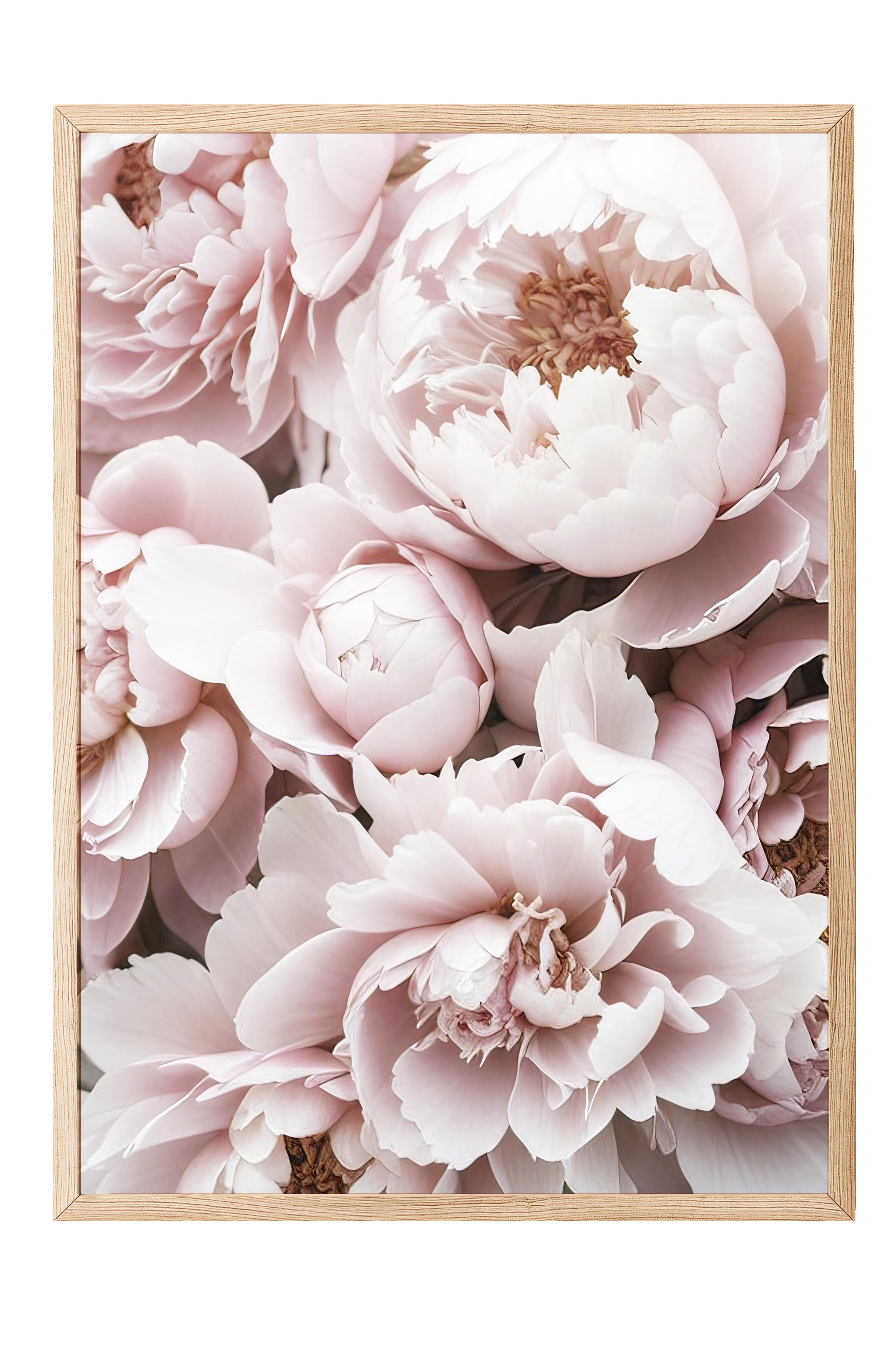 Pink Peony Dream Çerçeveli Tablo, Ahşap Çerçeve ve Poster, Duvar Tablosu Comfort Serisi NO:108369