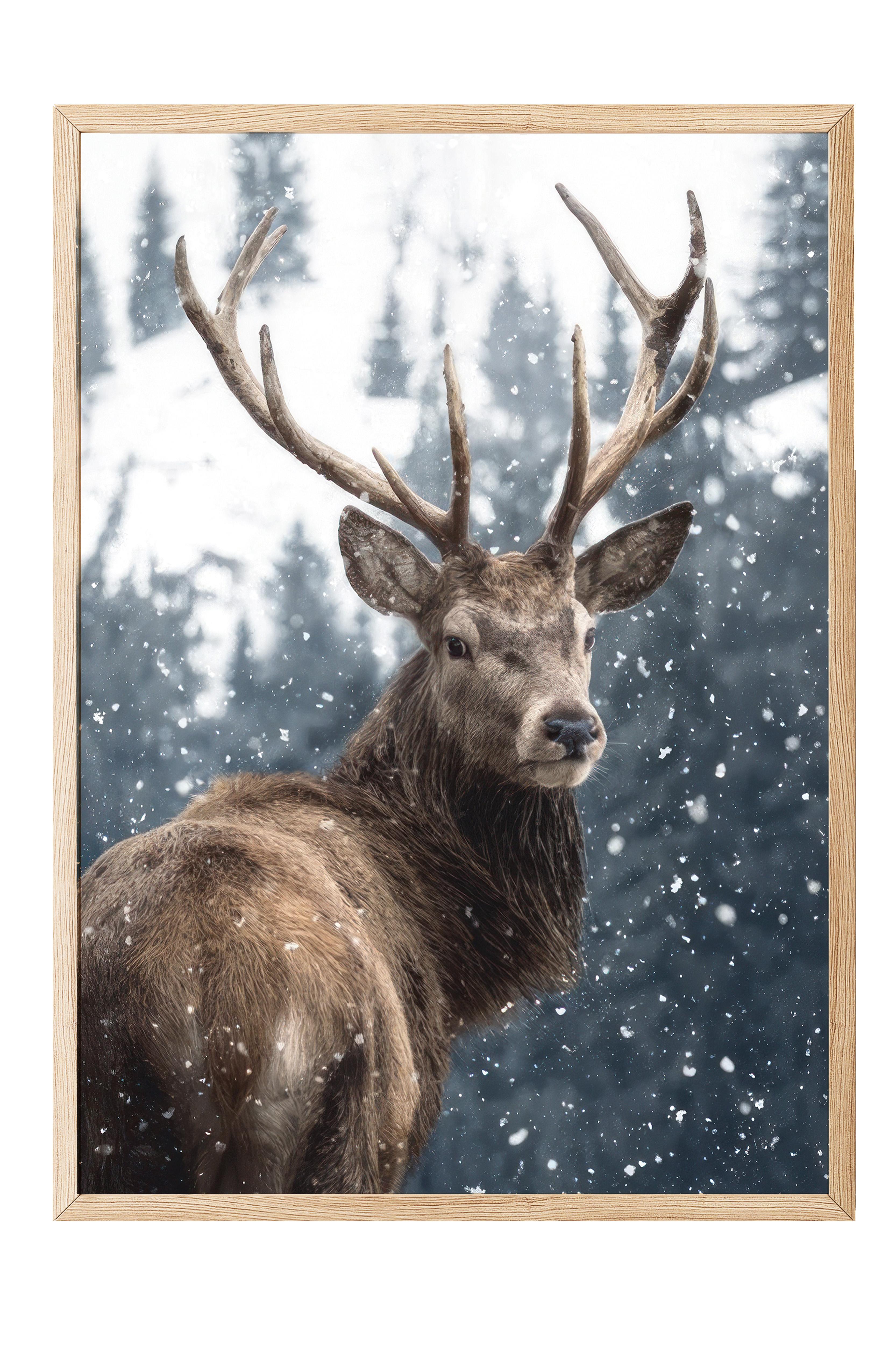 Red Deer in Snow  Çerçeveli Yılbaşı Tablosu, Ahşap Çerçeve ve Poster Comfort Serisi NO:108508