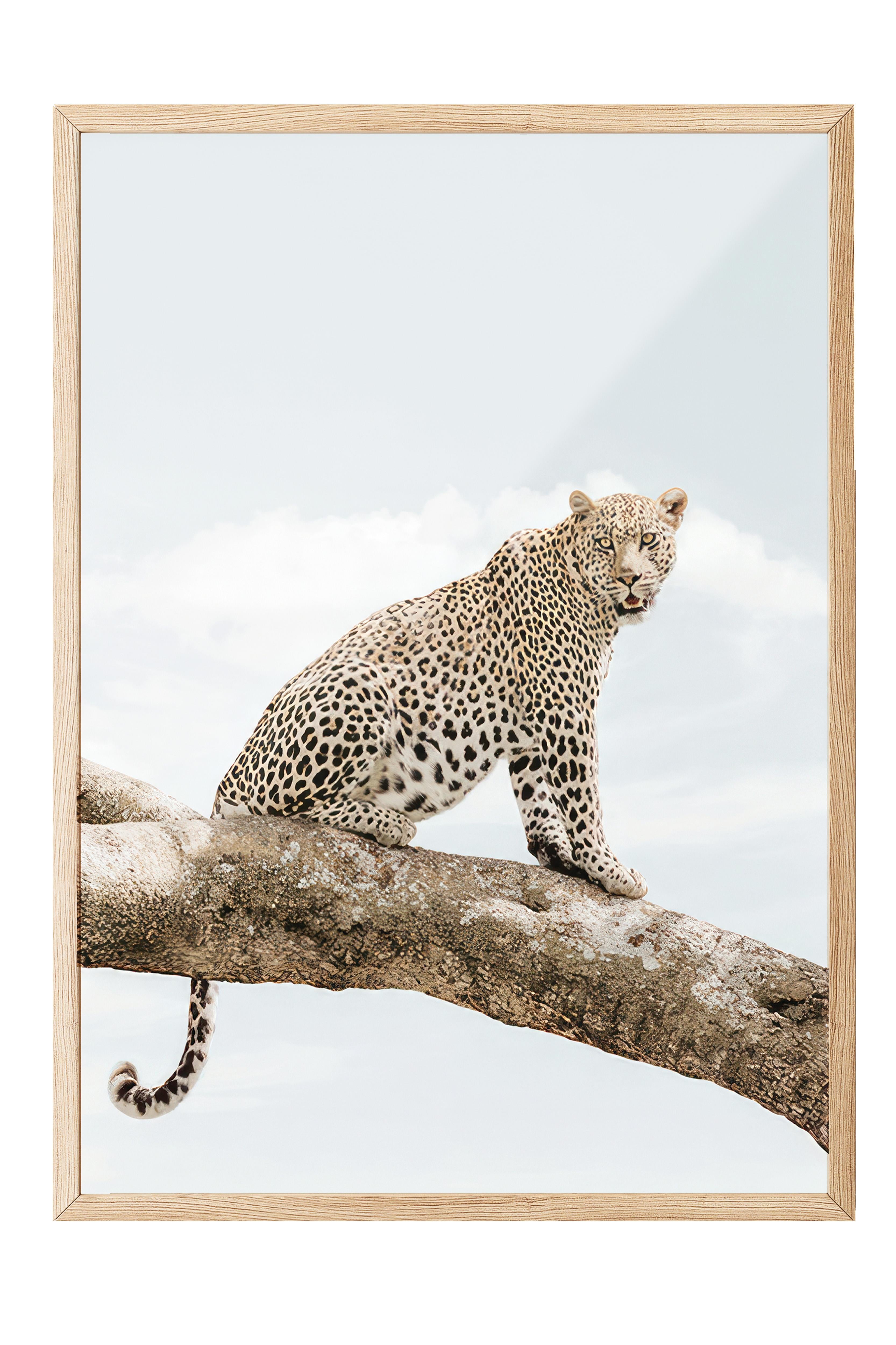 Resting Leopard Çerçeveli Tablo, Ahşap Çerçeve ve Poster, Duvar Tablosu Comfort Serisi NO:108465