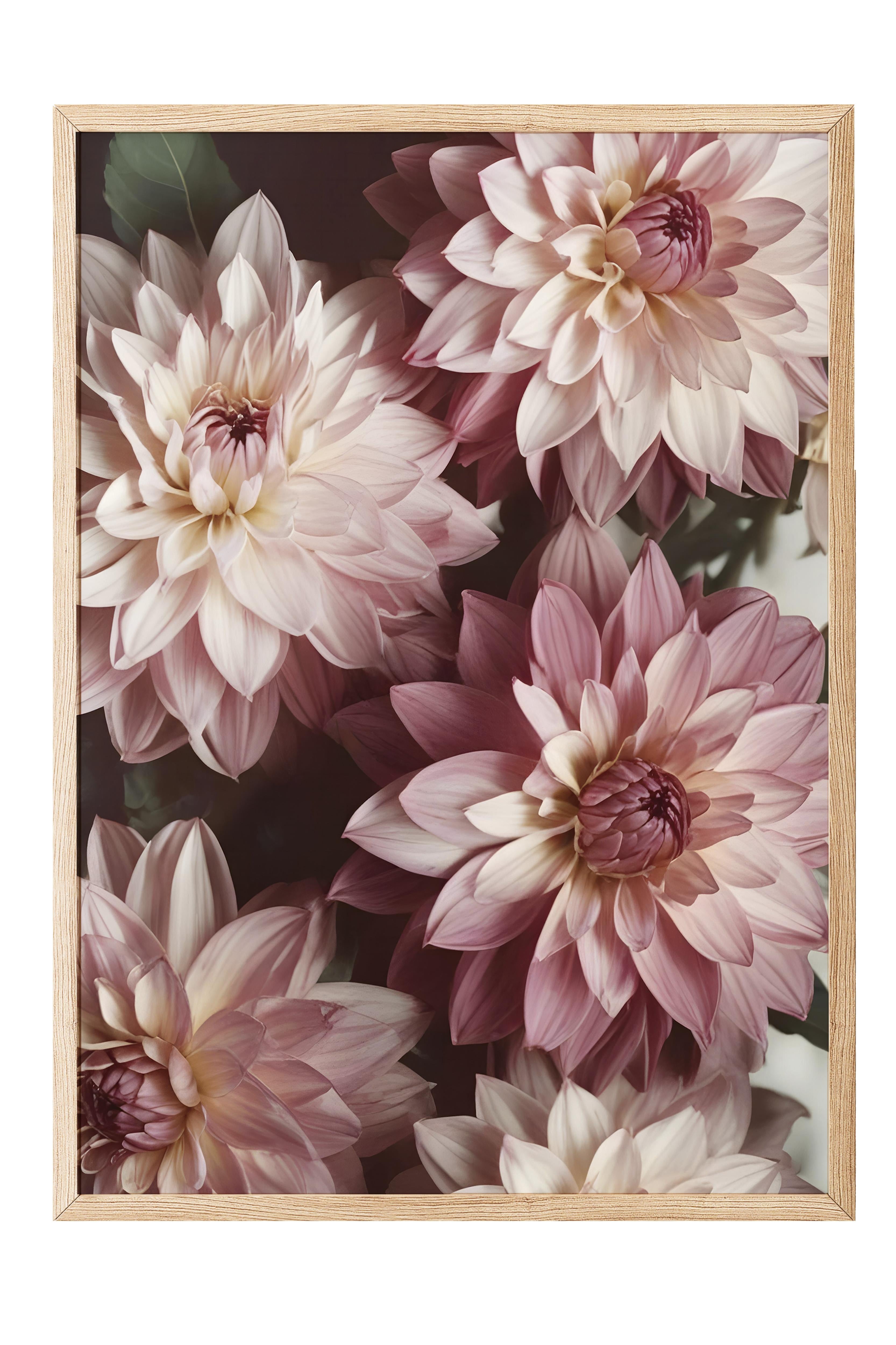 Romantic Dahlias  Çerçeveli Tablo, Ahşap Çerçeve ve Poster, Duvar Tablosu Comfort Serisi NO:108533