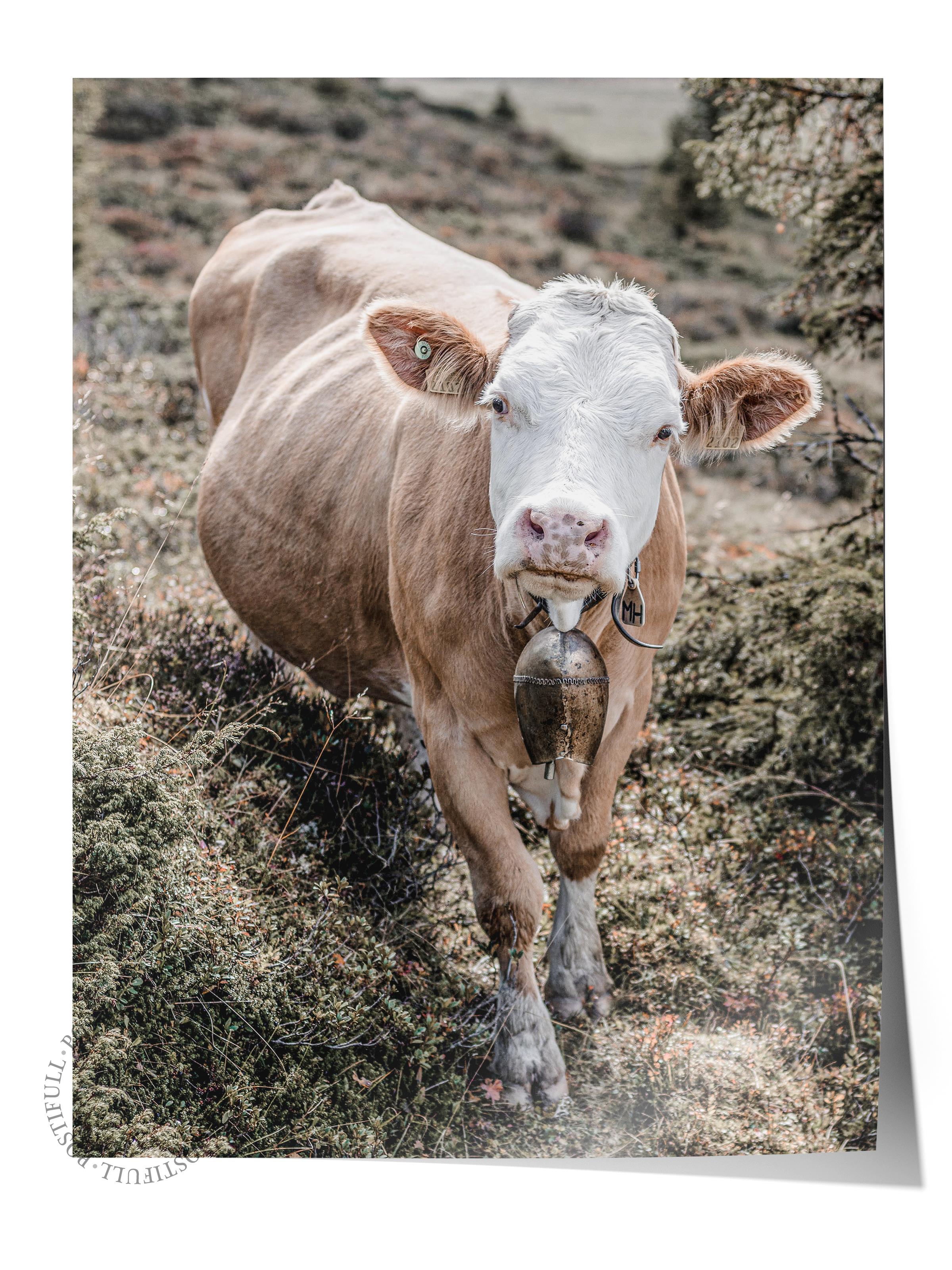 Rustic Çerçevesiz Poster, İskandinav Beyaz Tablo, NO:361 İnek Fotoğraf, Dikey