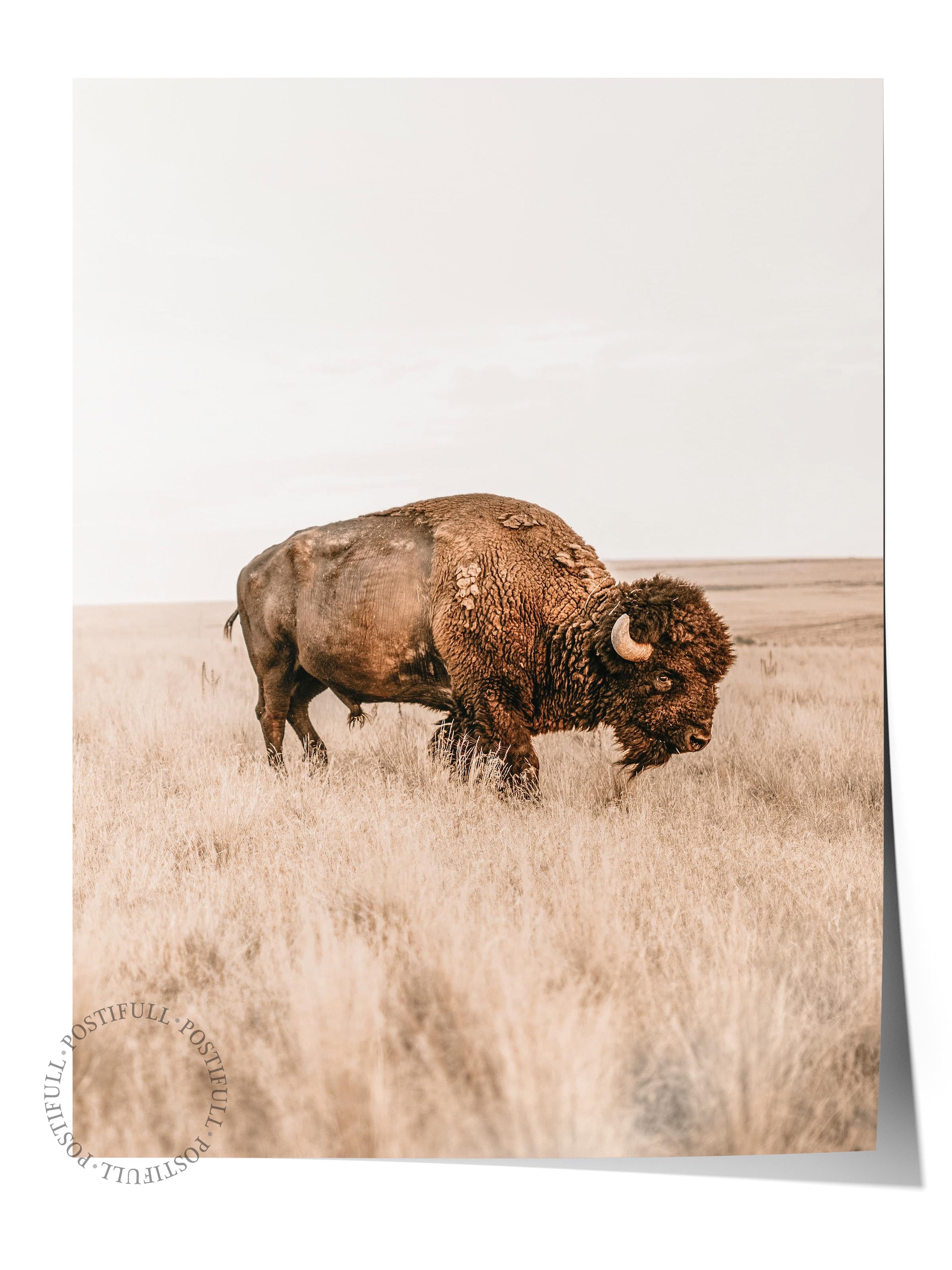 Rustic Çerçevesiz Poster, İskandinav Kahverengi Tablo, NO:380 Bison Fotoğraf, Dikey