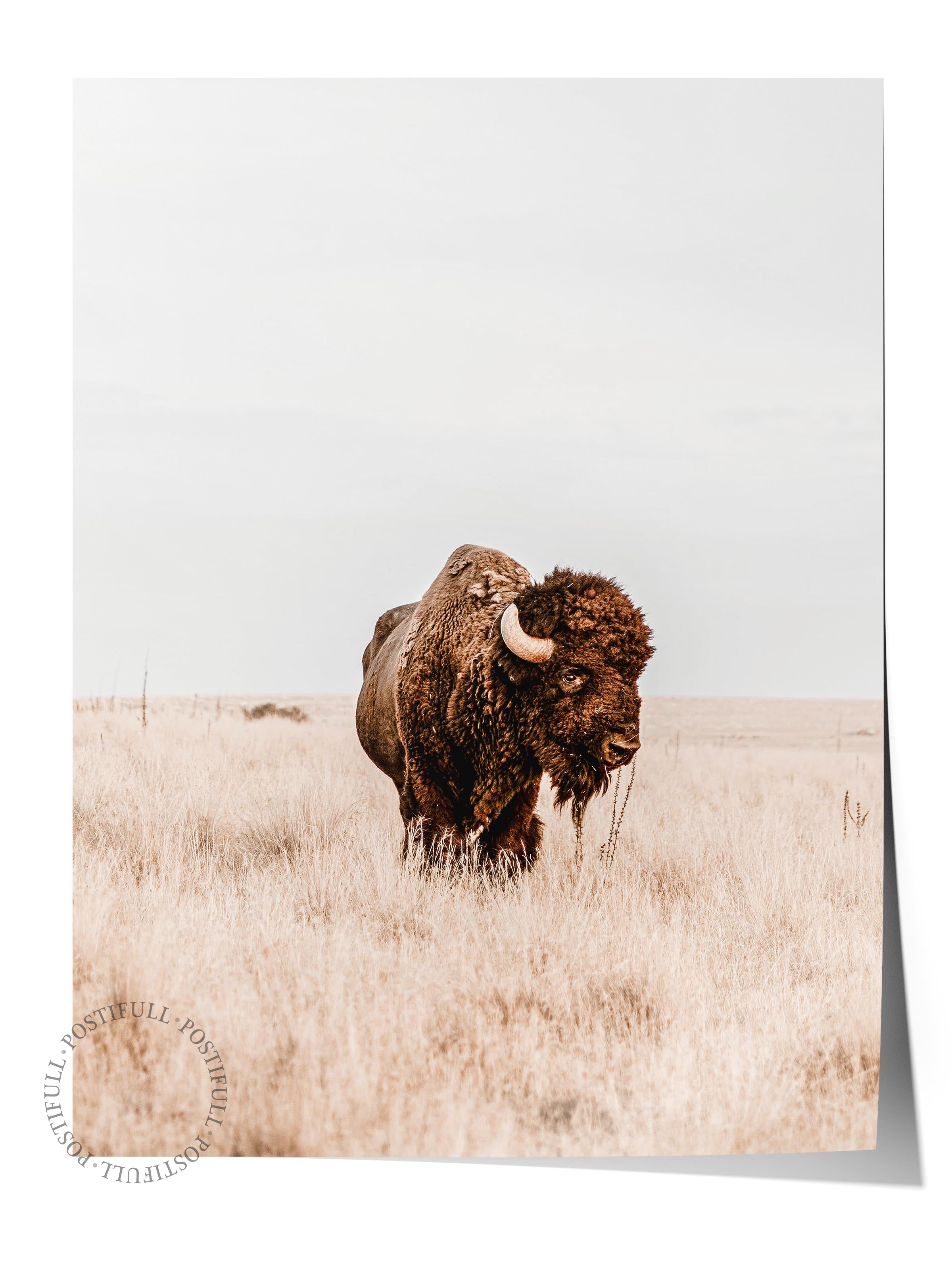 Rustic Çerçevesiz Poster, İskandinav Kahverengi Tablo, NO:382 Bison Fotoğraf, Dikey