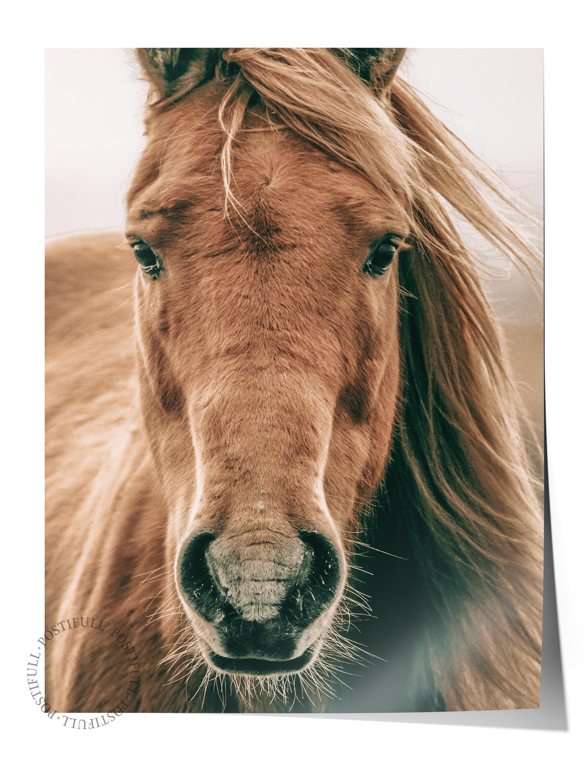 Rustic Çerçevesiz Poster, İskandinav Kahverengi Tablo, NO:398 At Fotoğraf, Yatay