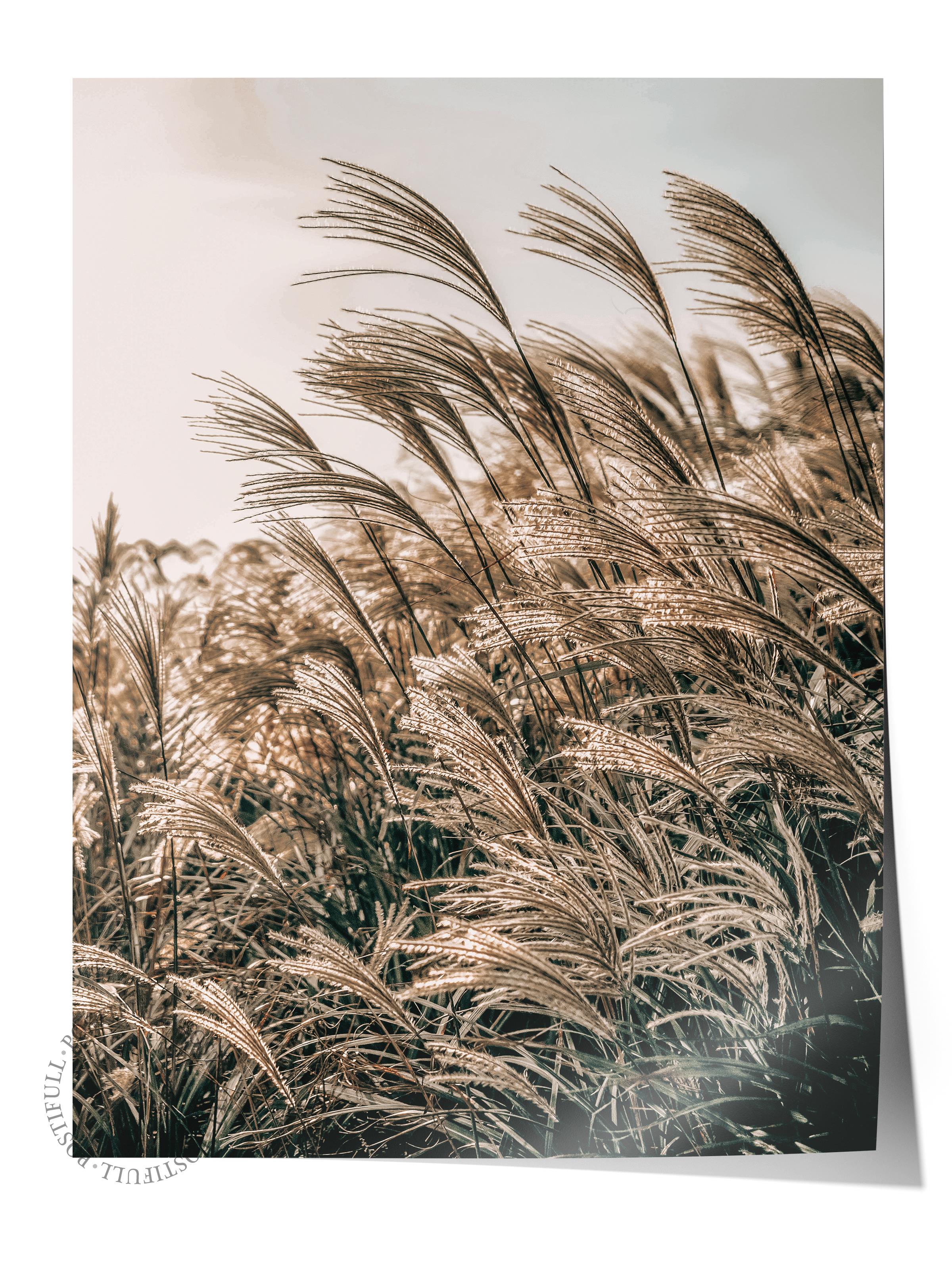 Rustic Çerçevesiz Poster, İskandinav Kahverengi Tablo, NO:400 Sazlık Fotoğraf, Yatay