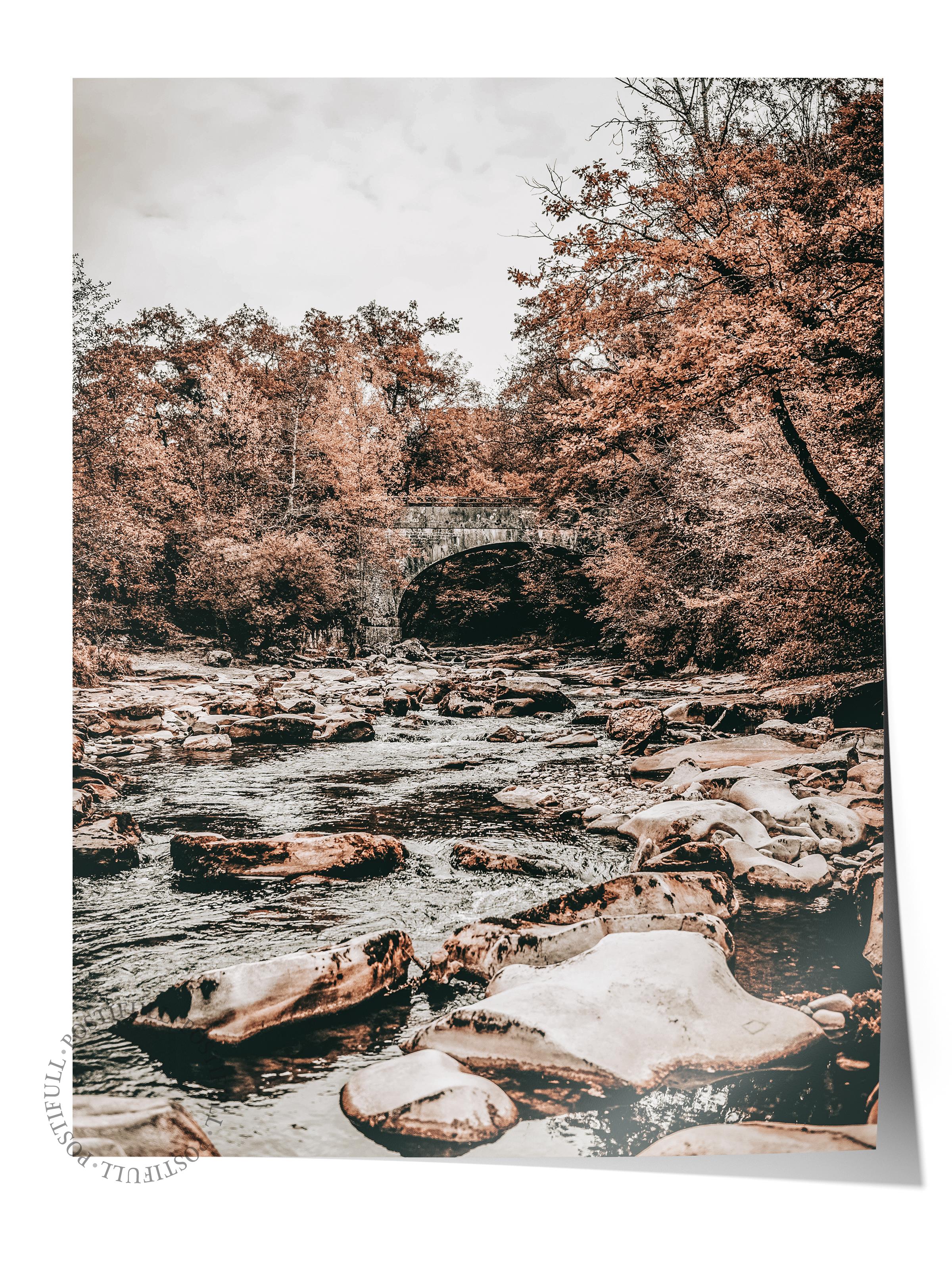 Rustic Çerçevesiz Poster, İskandinav Kahverengi Tablo, NO:411 Nehir ve Ağaçlar Fotoğraf, Yatay