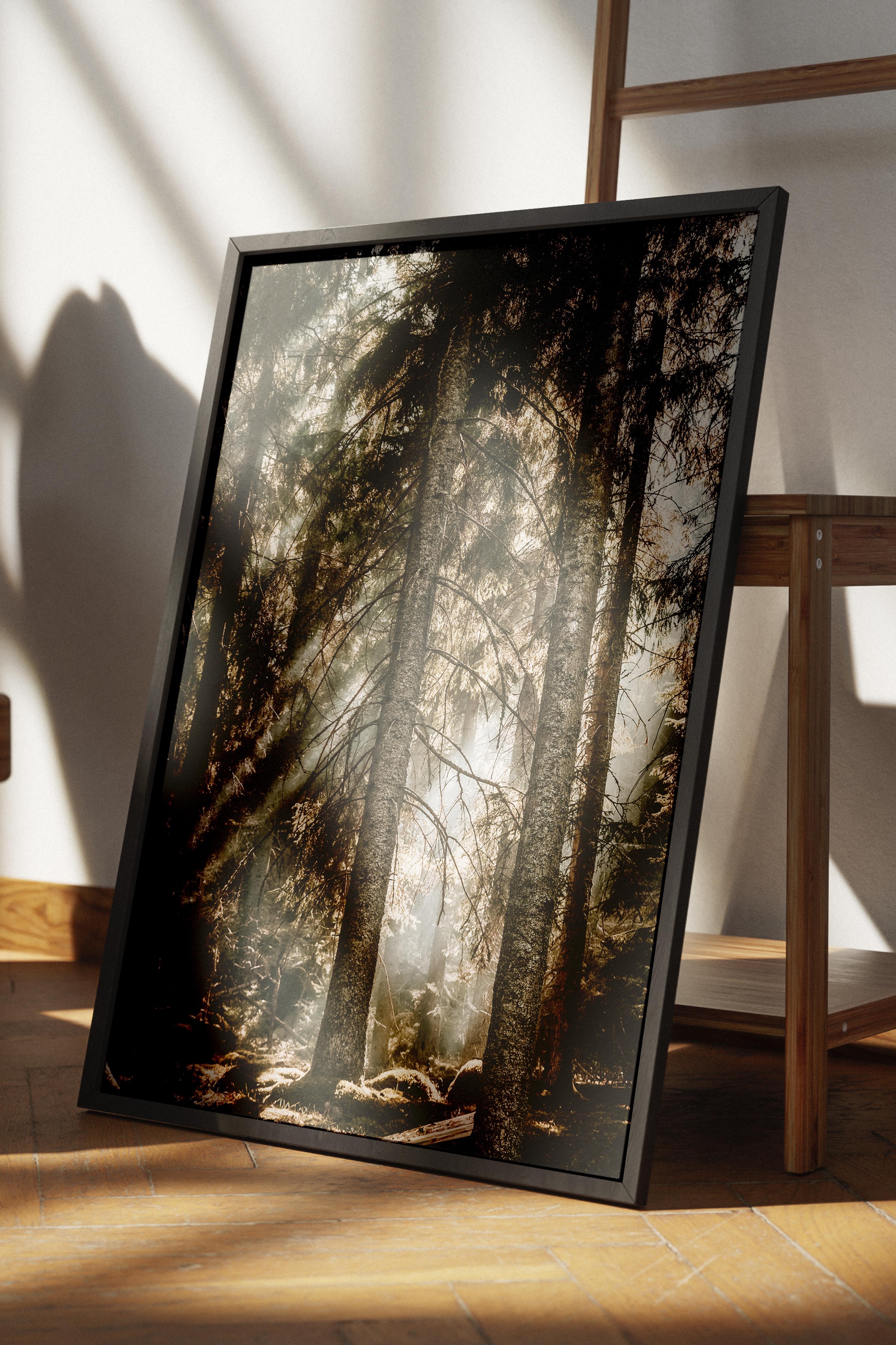 Rustic Çerçevesiz Poster, İskandinav Kahverengi Tablo, NO:428 Orman Fotoğraf, Yatay