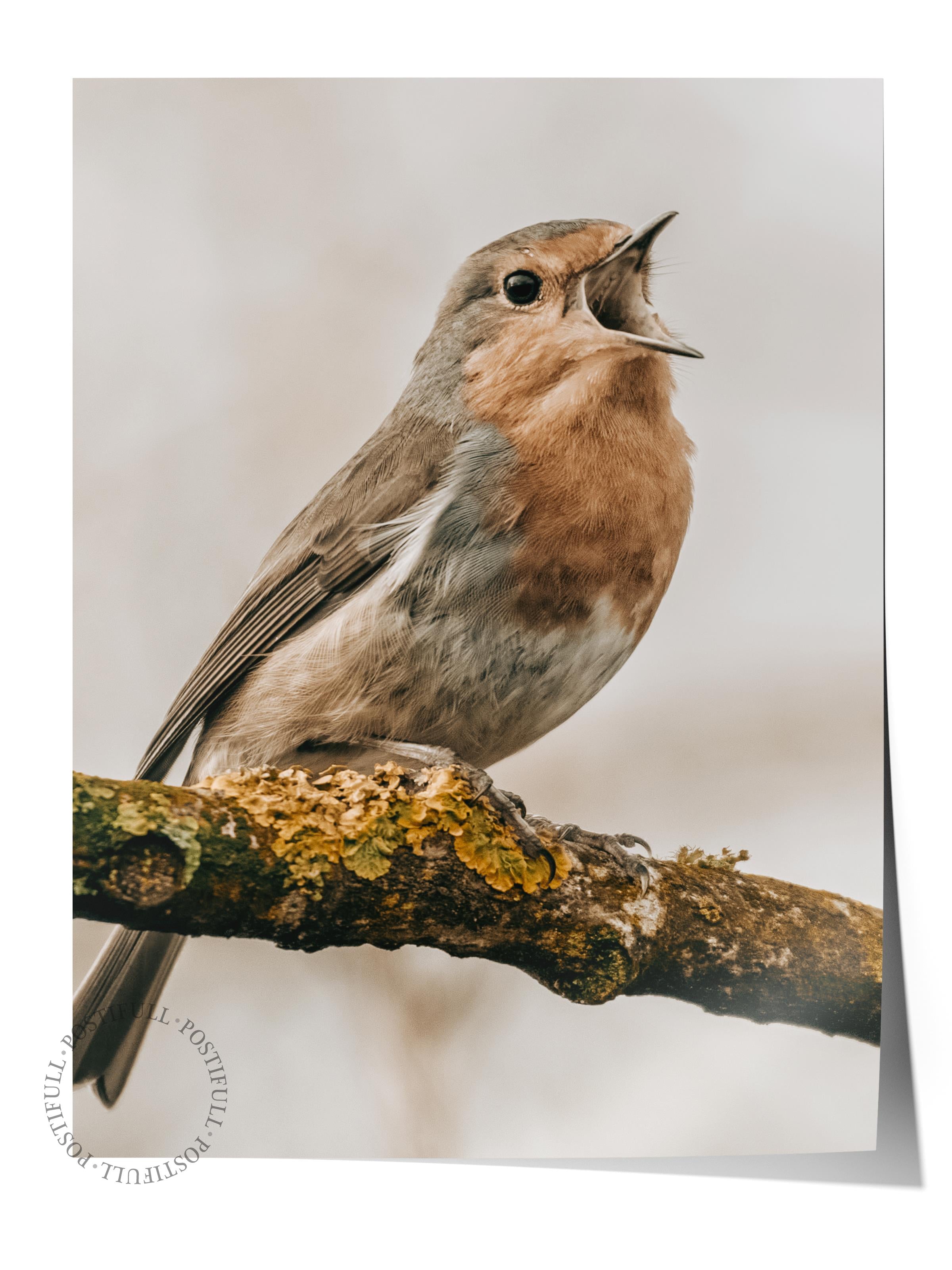 Rustic Çerçevesiz Poster, İskandinav Kahverengi Tablo, NO:432 Kuş Fotoğraf, Yatay