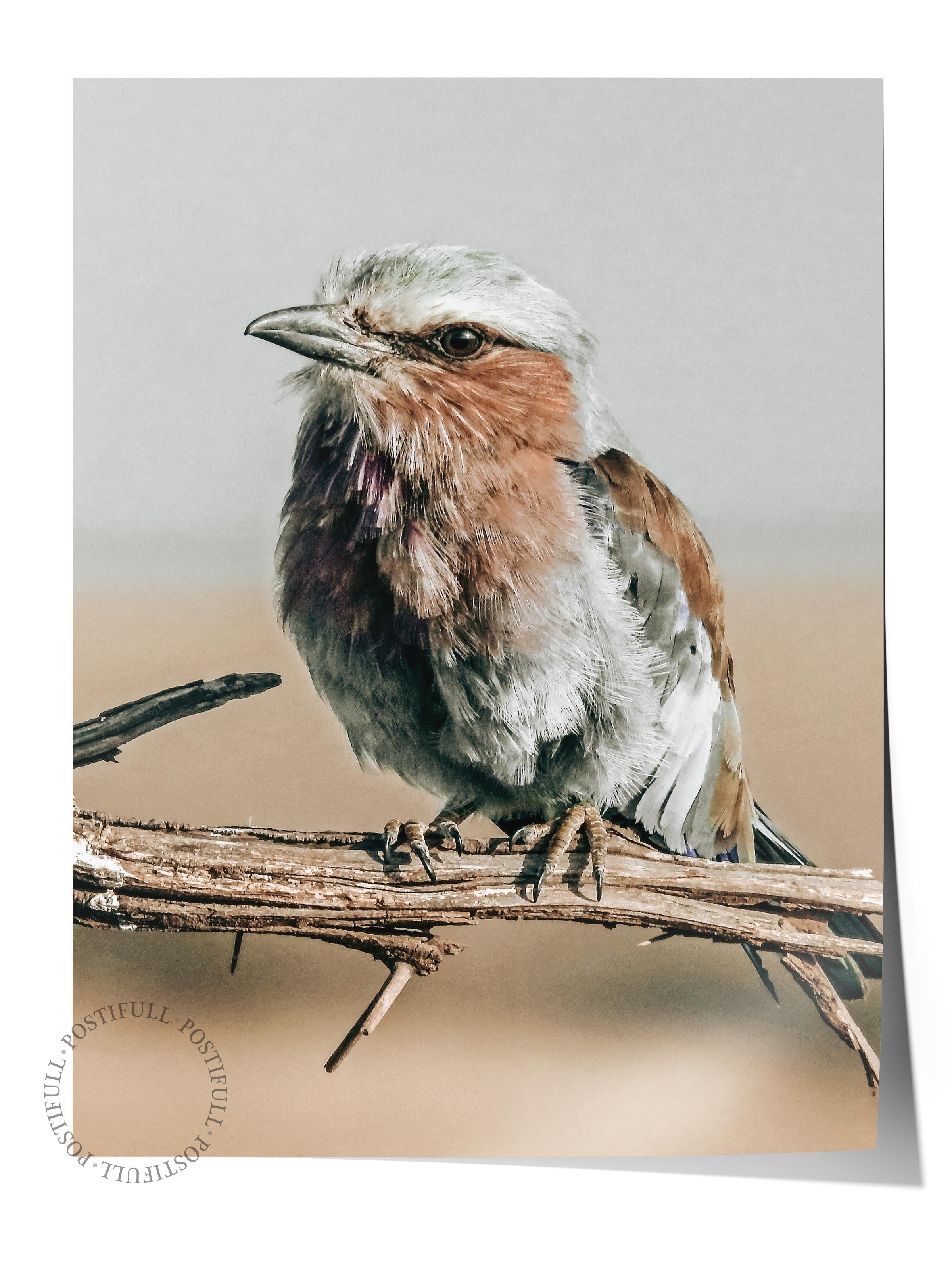 Rustic Çerçevesiz Poster, İskandinav Kahverengi Tablo, NO:433 Kuş Fotoğraf, Yatay