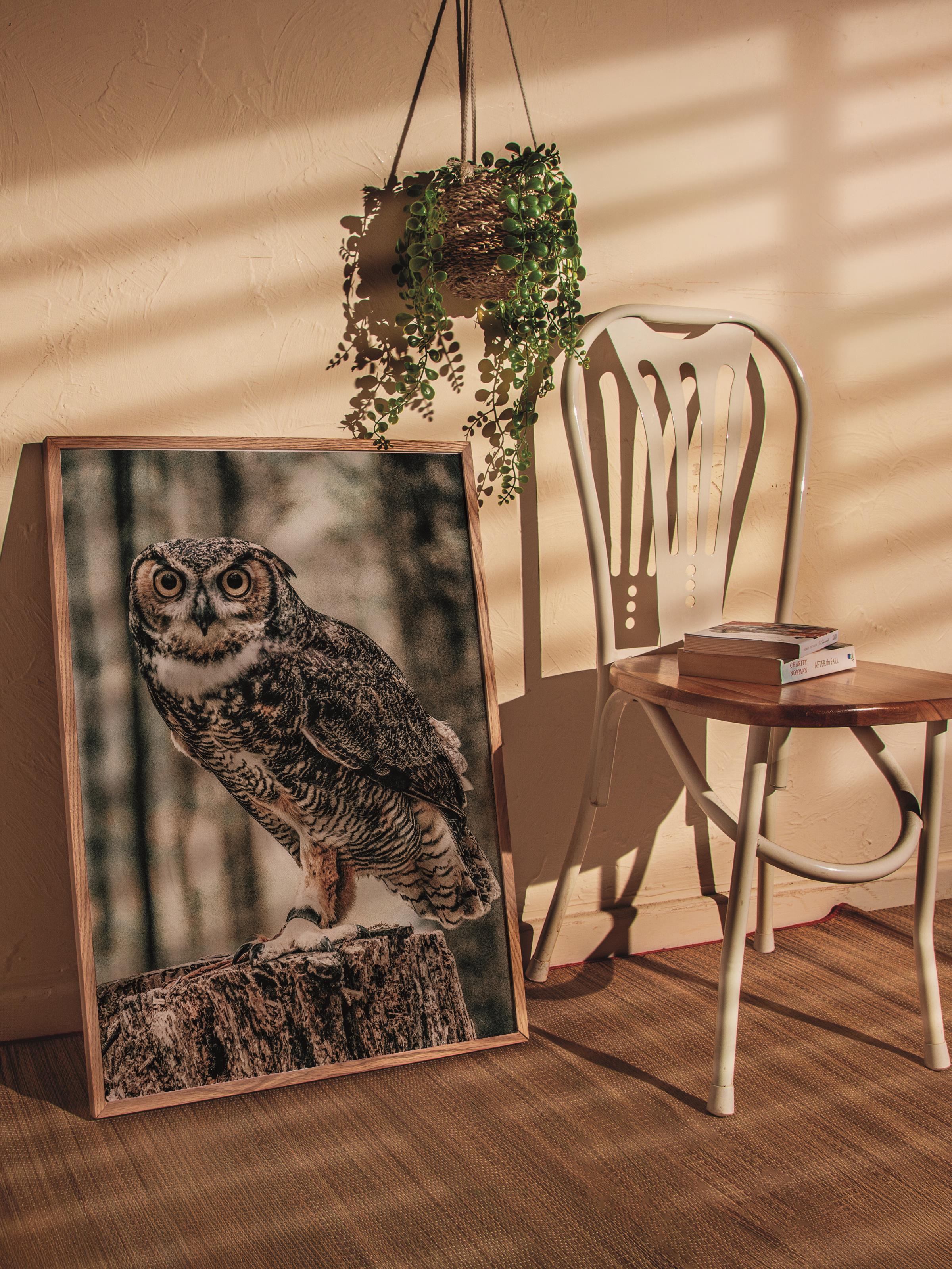 Rustic Çerçevesiz Poster, İskandinav Kahverengi Tablo, NO:435 Baykuş Fotoğraf, Yatay