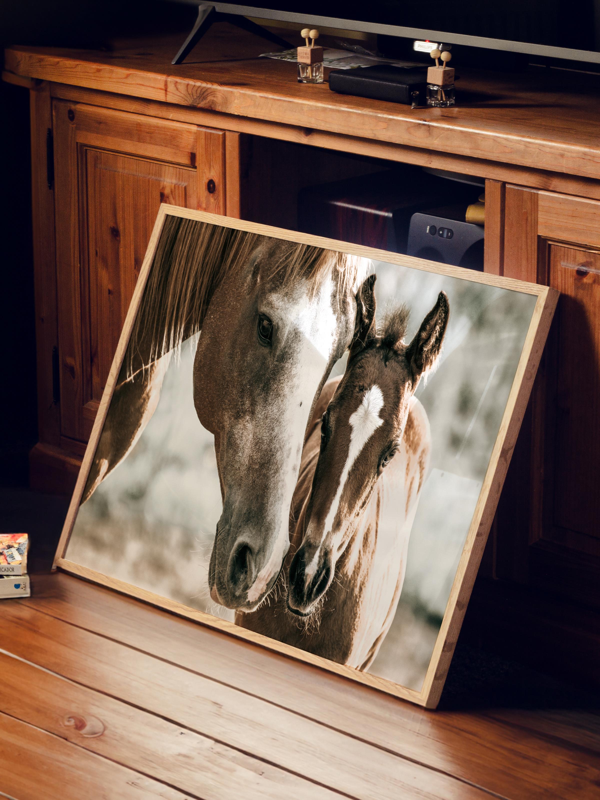 Rustic Çerçevesiz Poster, İskandinav Kahverengi Tablo, NO:501 Atlar Fotoğraf, Yatay