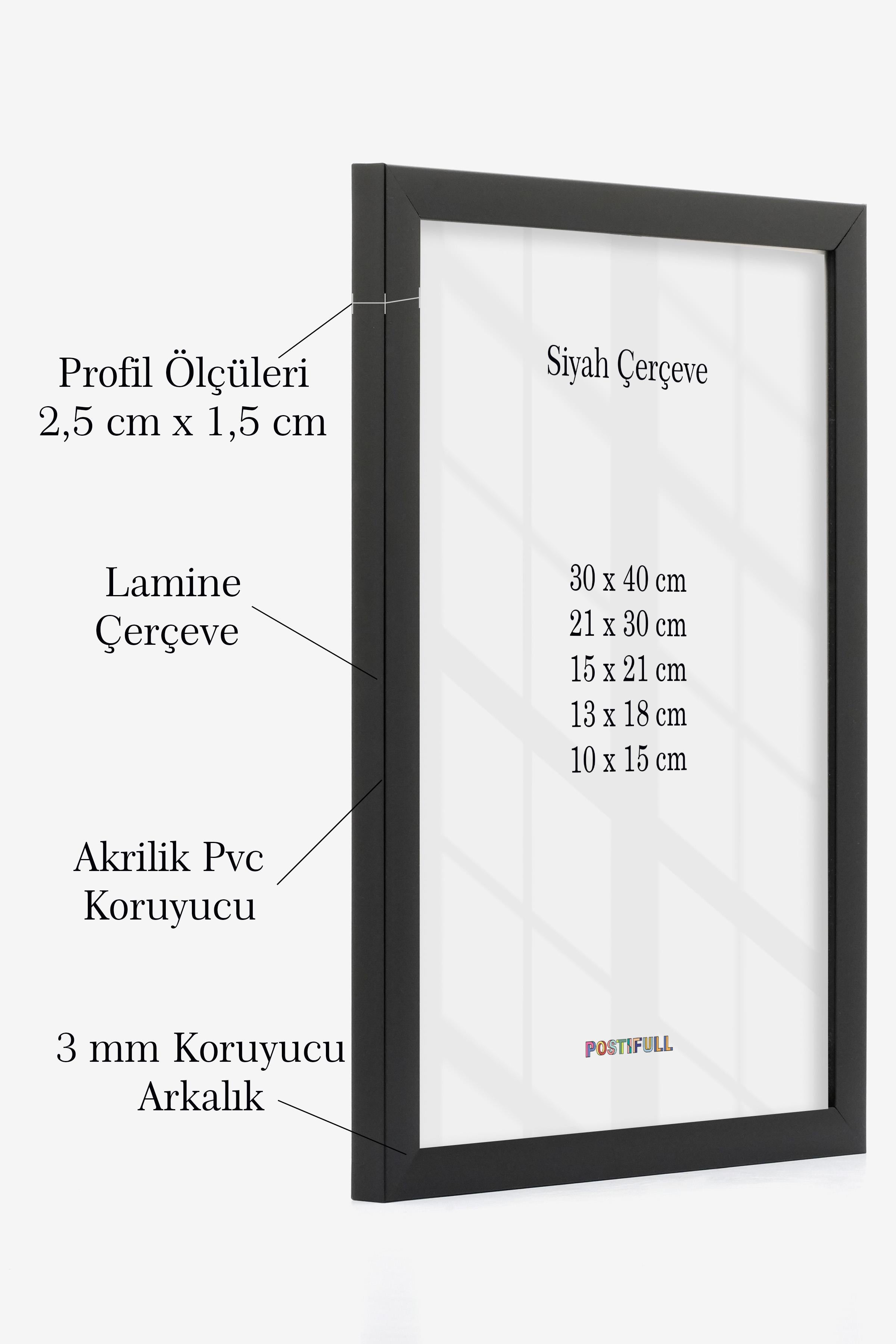 Siyah Çerçeve, Siyah Poster Çerçevesi, Fotoğraf ve Resim Duvar Çerçevesi, Salon, Ofis Çerçevesi