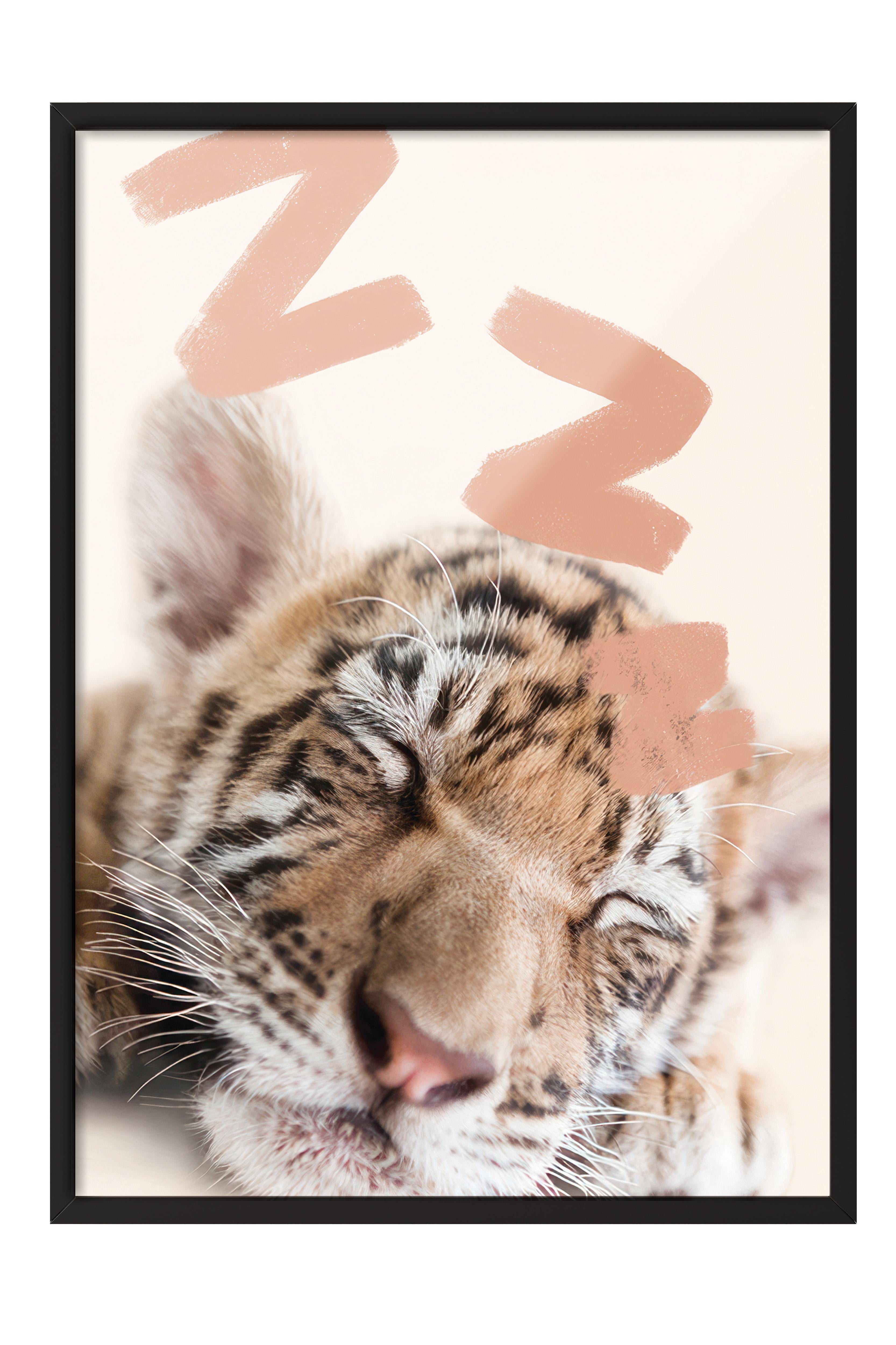 Sleeping Baby Tiger Çerçeveli Tablo, Siyah Çerçeve ve Poster, Duvar Tablosu Comfort Serisi NO:108441