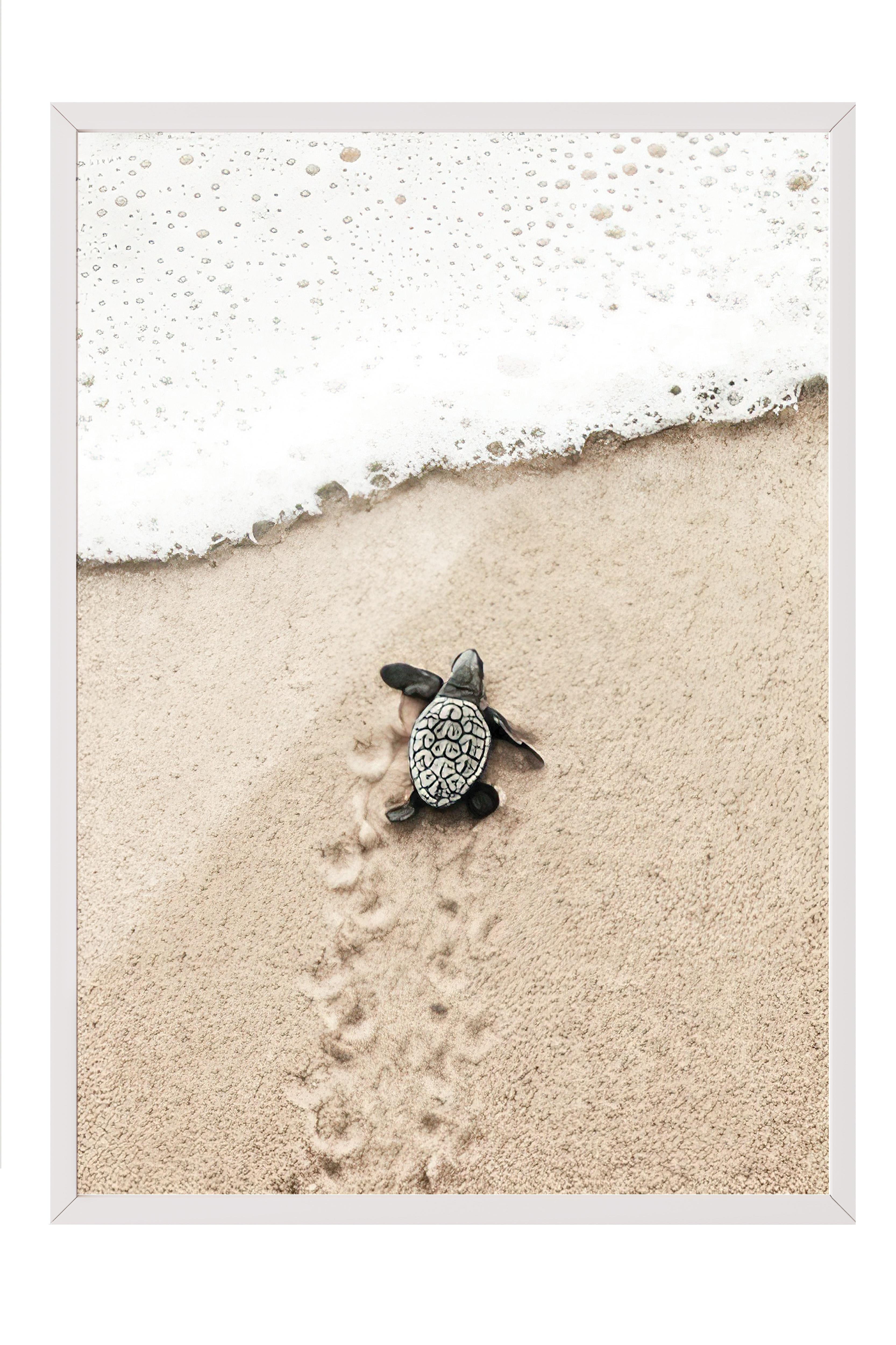 Small Beach Turtle Çerçeveli Tablo, Beyaz Çerçeve ve Poster, Duvar Tablosu Comfort Serisi NO:108420