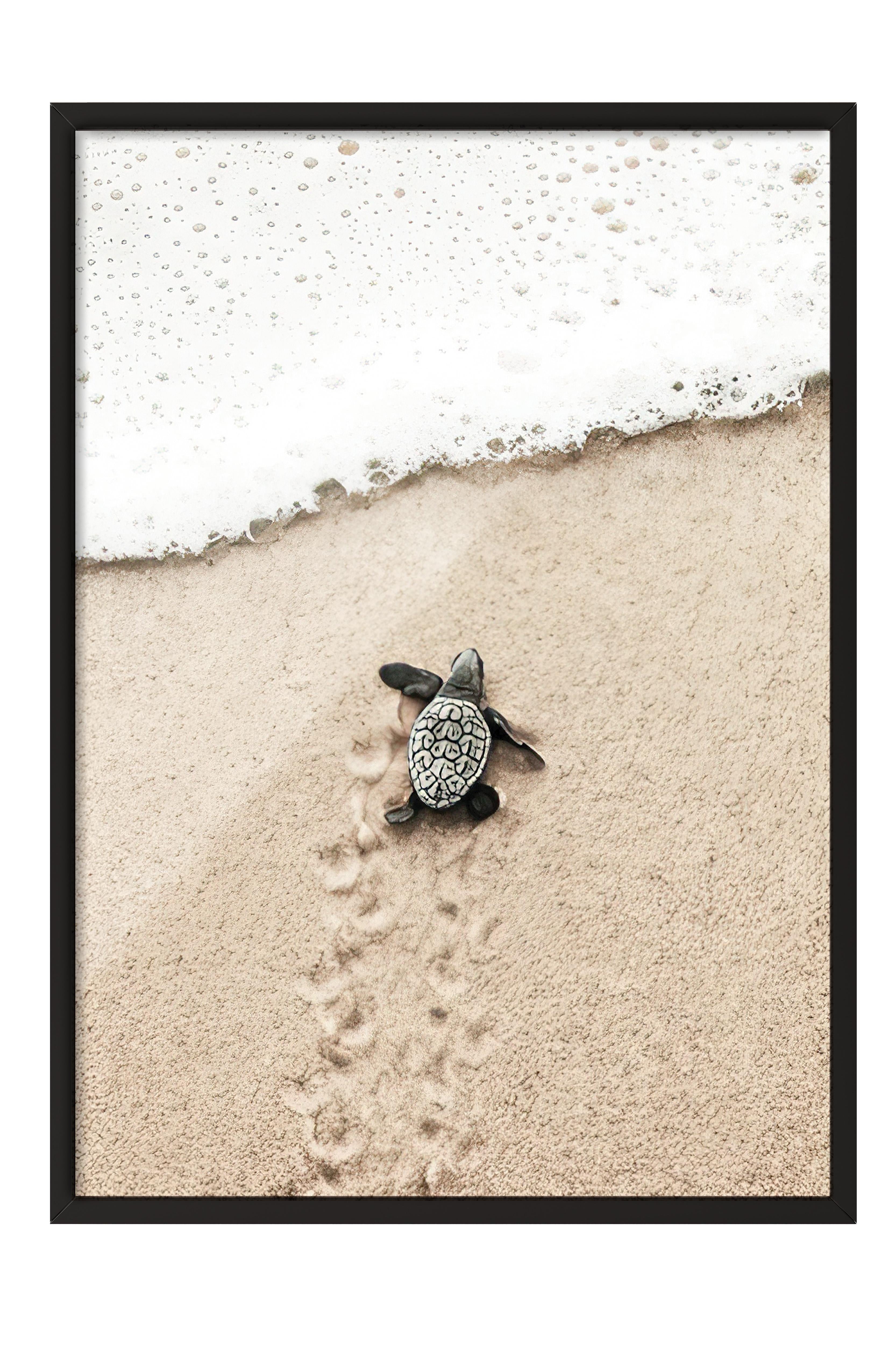 Small Beach Turtle Çerçeveli Tablo, Siyah Çerçeve ve Poster, Duvar Tablosu Comfort Serisi NO:108420