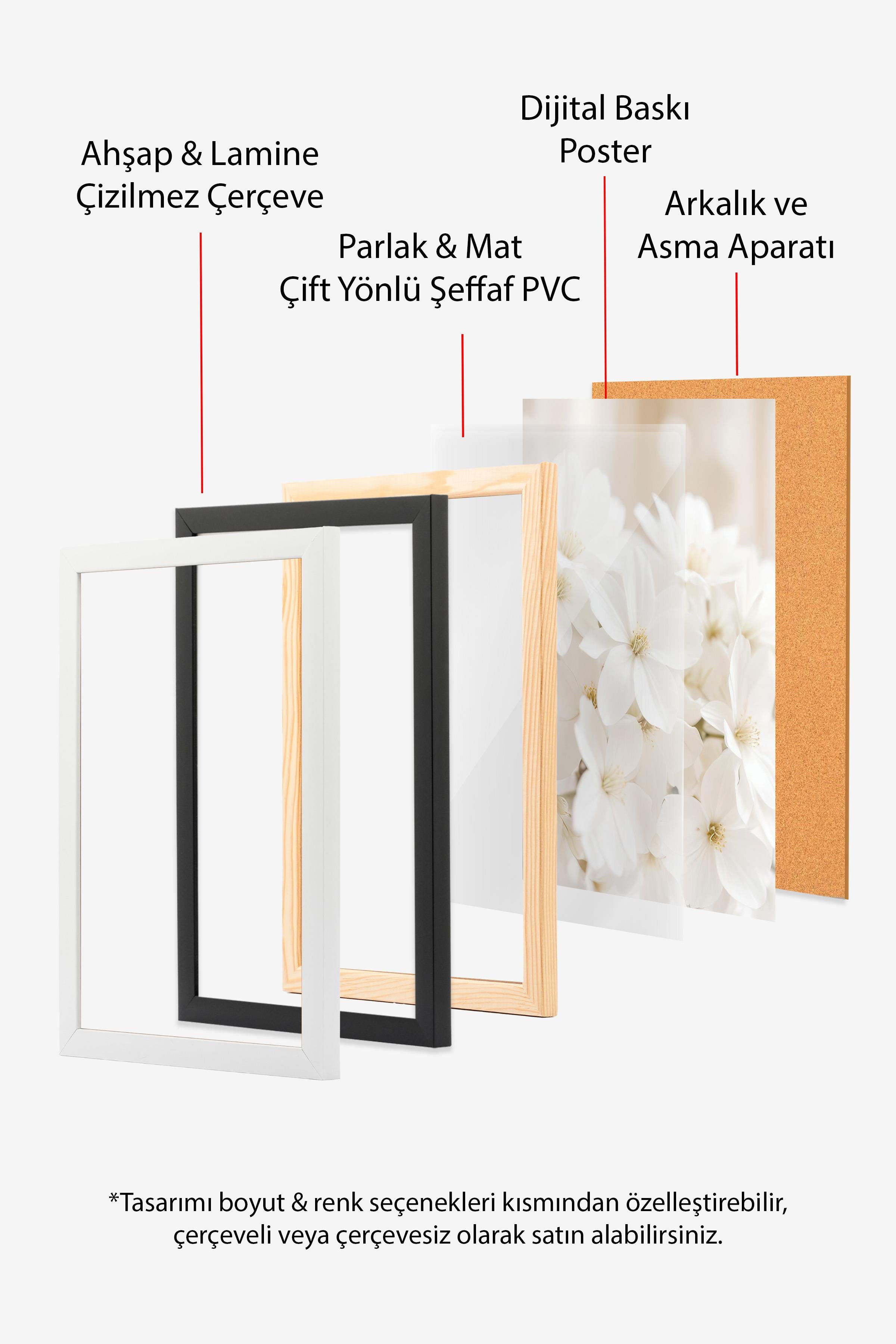 Soft White Bloom Çerçeveli Tablo, Ahşap Çerçeve ve Poster, Duvar Tablosu Comfort Serisi NO:108344