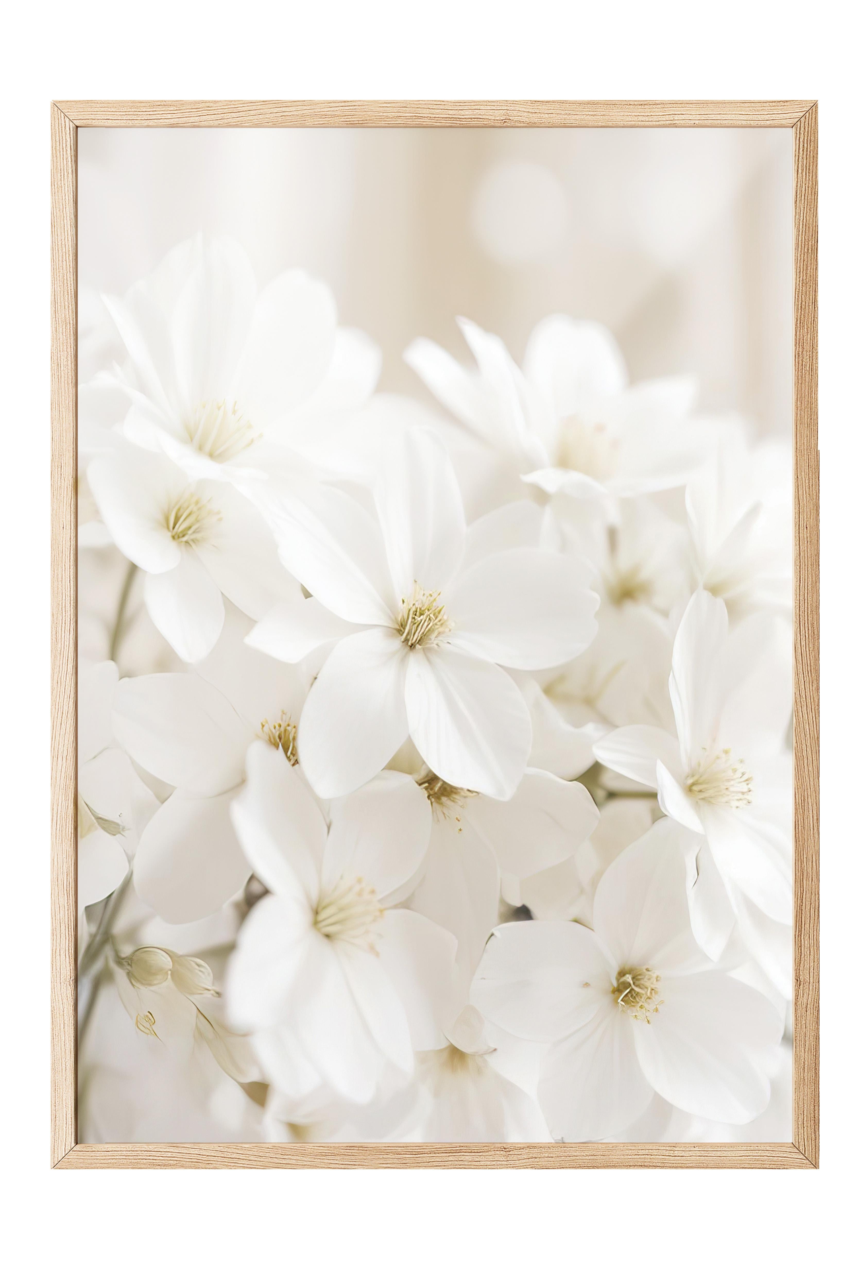 Soft White Bloom Çerçeveli Tablo, Ahşap Çerçeve ve Poster, Duvar Tablosu Comfort Serisi NO:108344