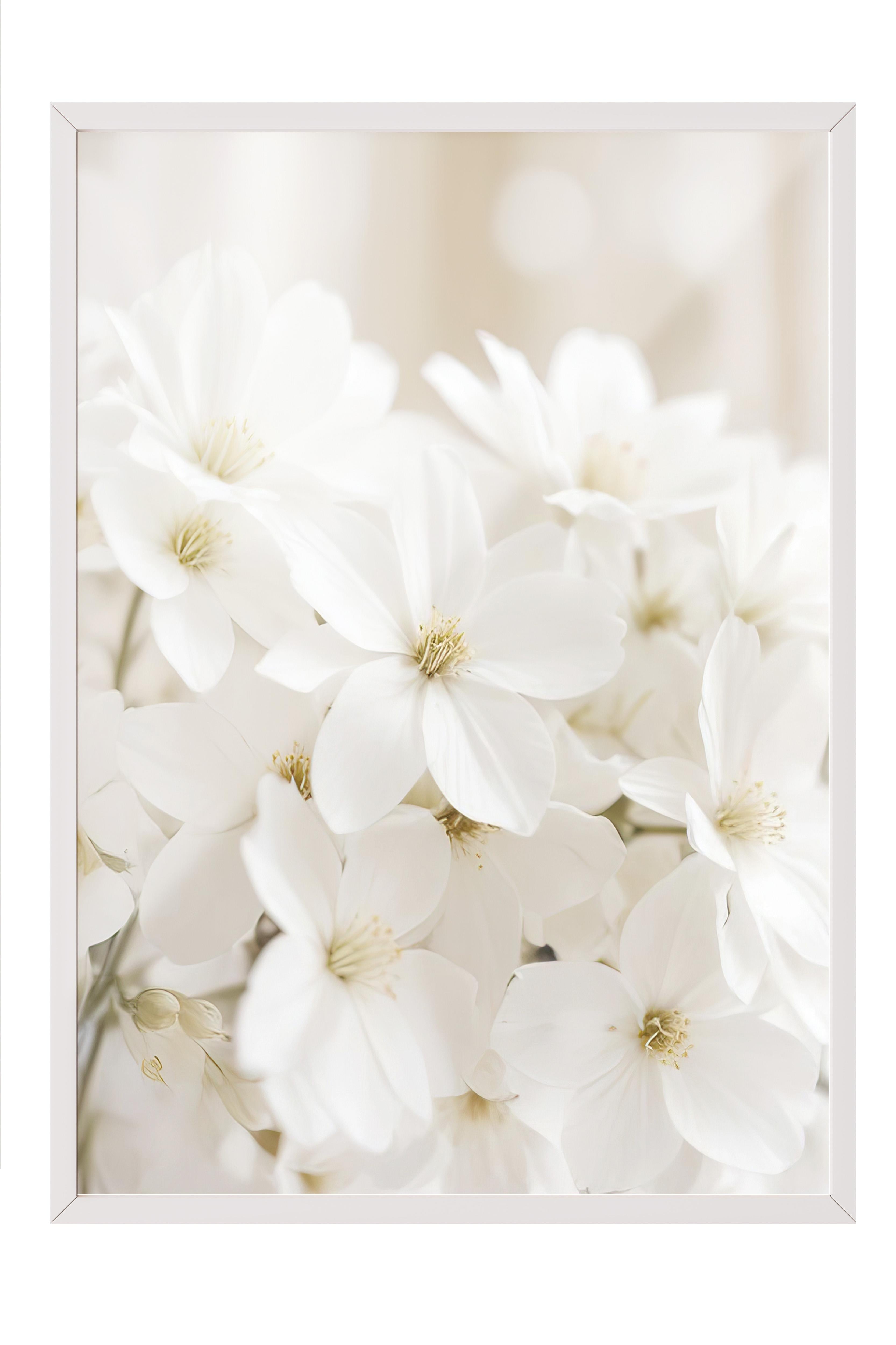 Soft White Bloom Çerçeveli Tablo, Beyaz Çerçeve ve Poster, Duvar Tablosu Comfort Serisi NO:108344